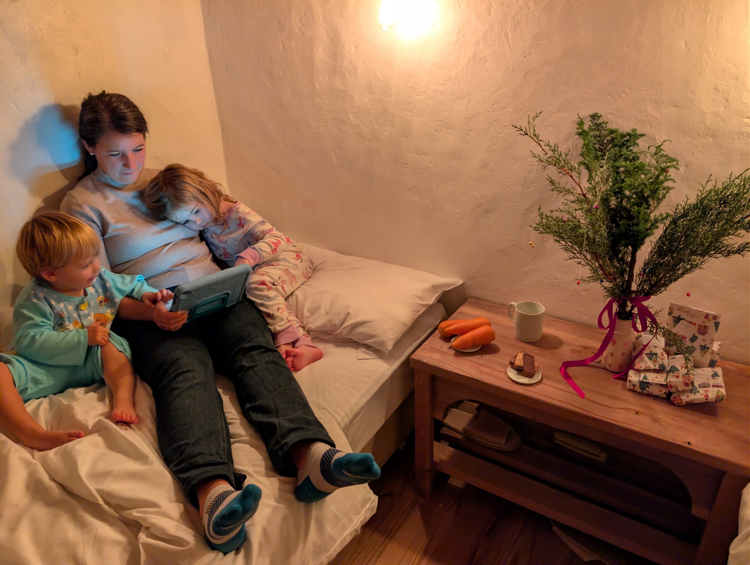 PXL_20251224_103028151.RAW-01.COVER