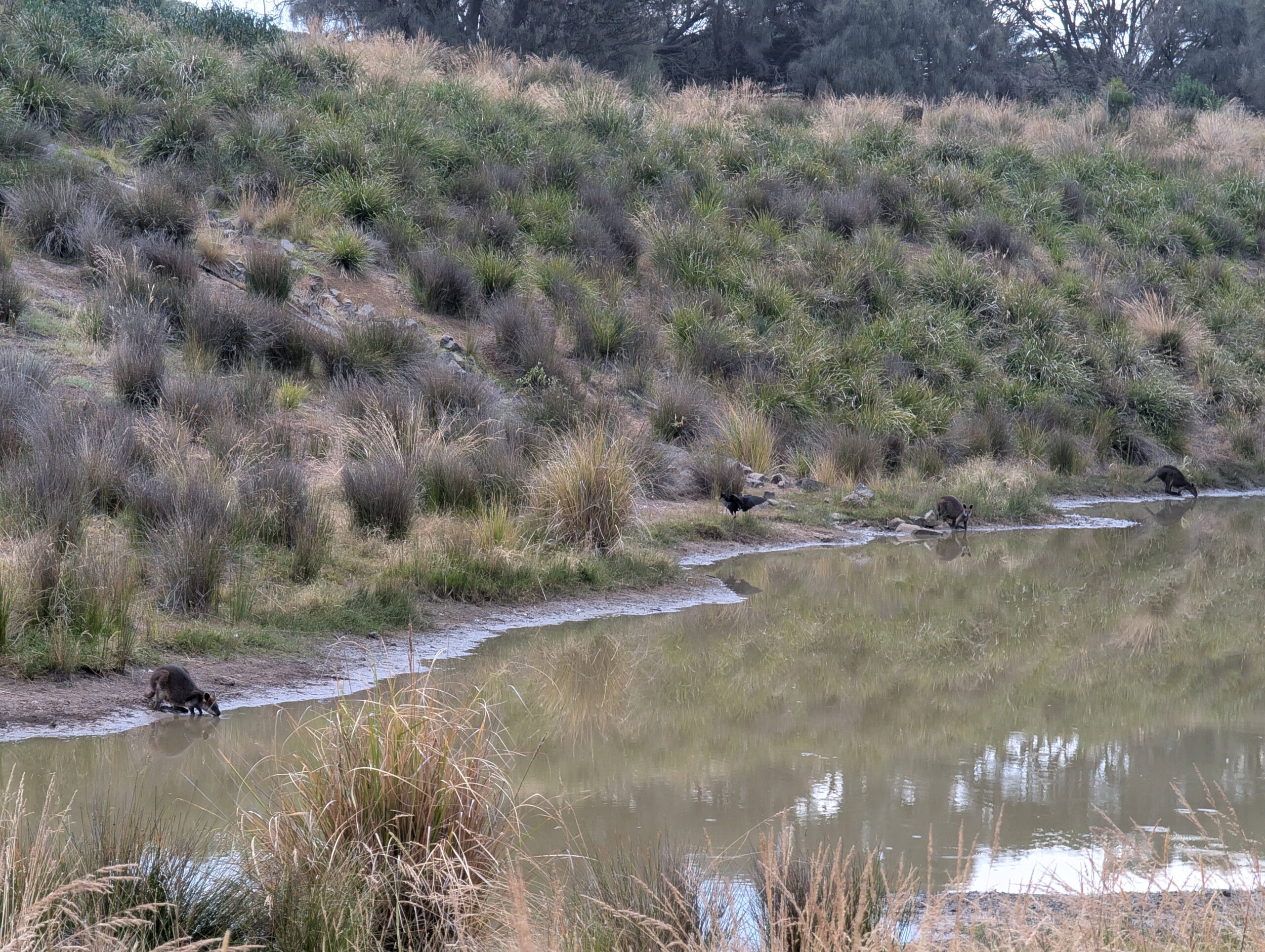 PXL_20260107_091555448.RAW-01.COVER