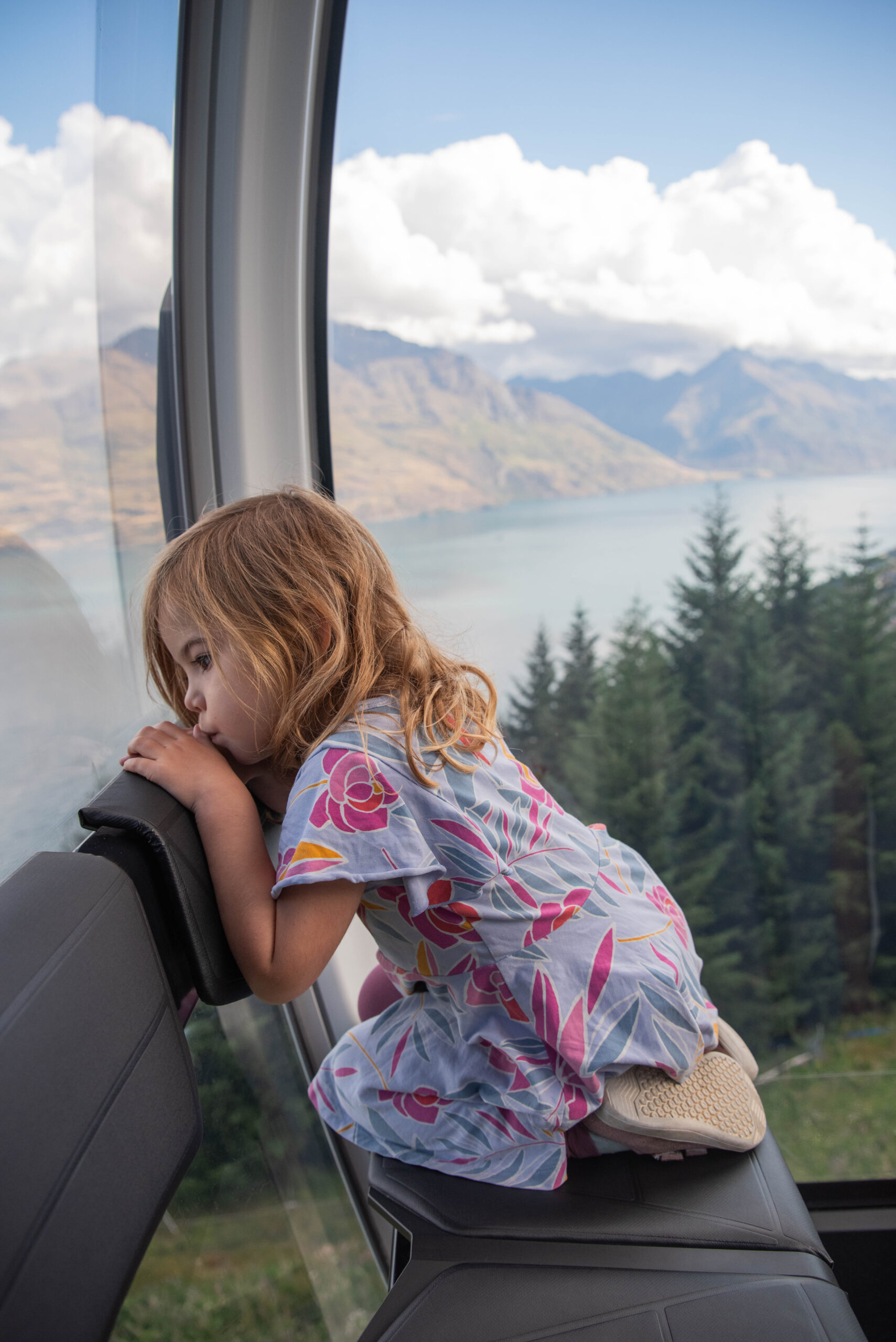 20260122_NewZealand8005