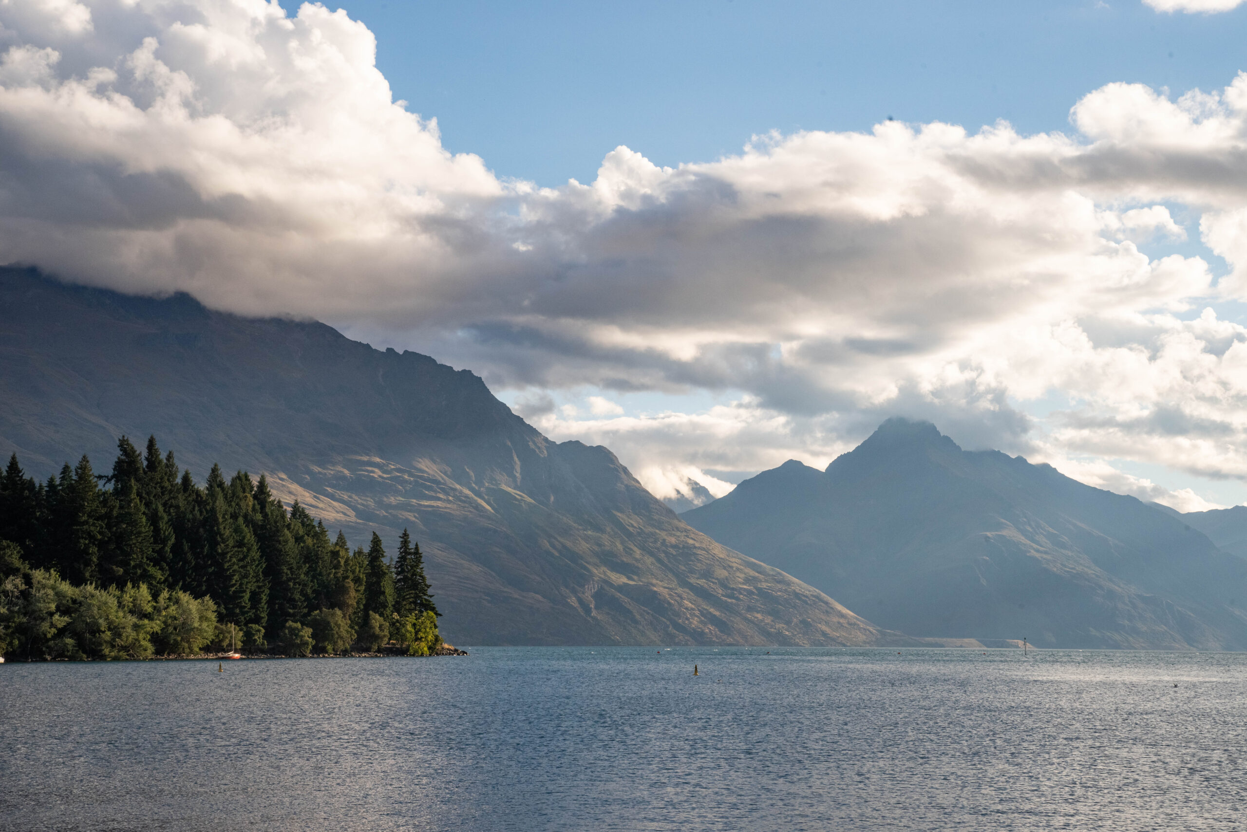 20260122_NewZealand8016