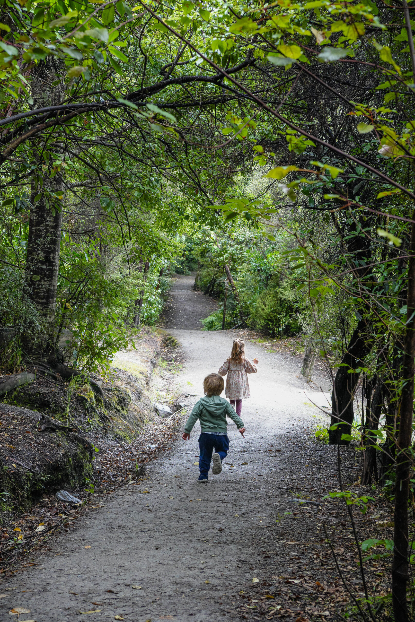 20260123_NewZealand00175