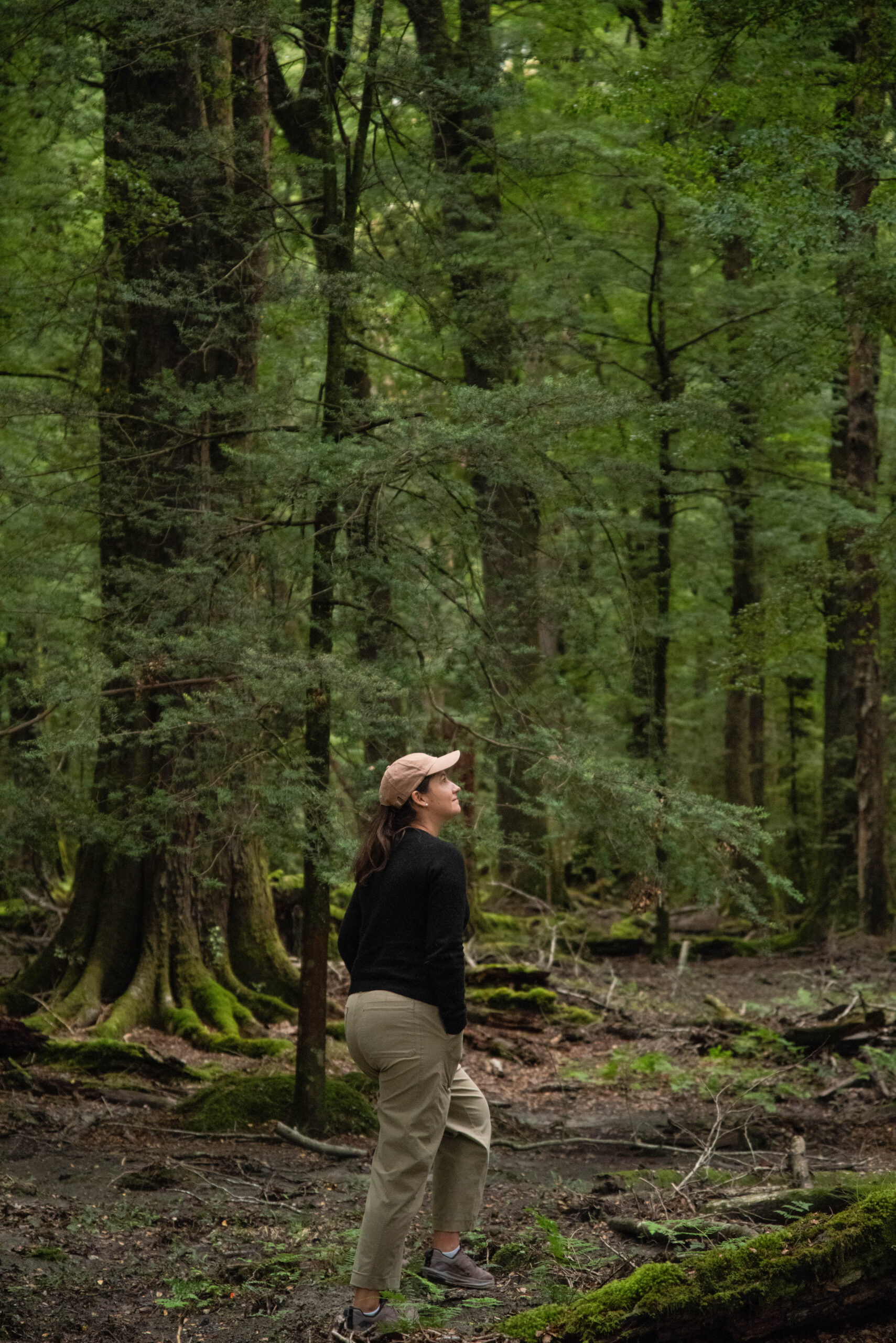 20260124_NewZealand8068