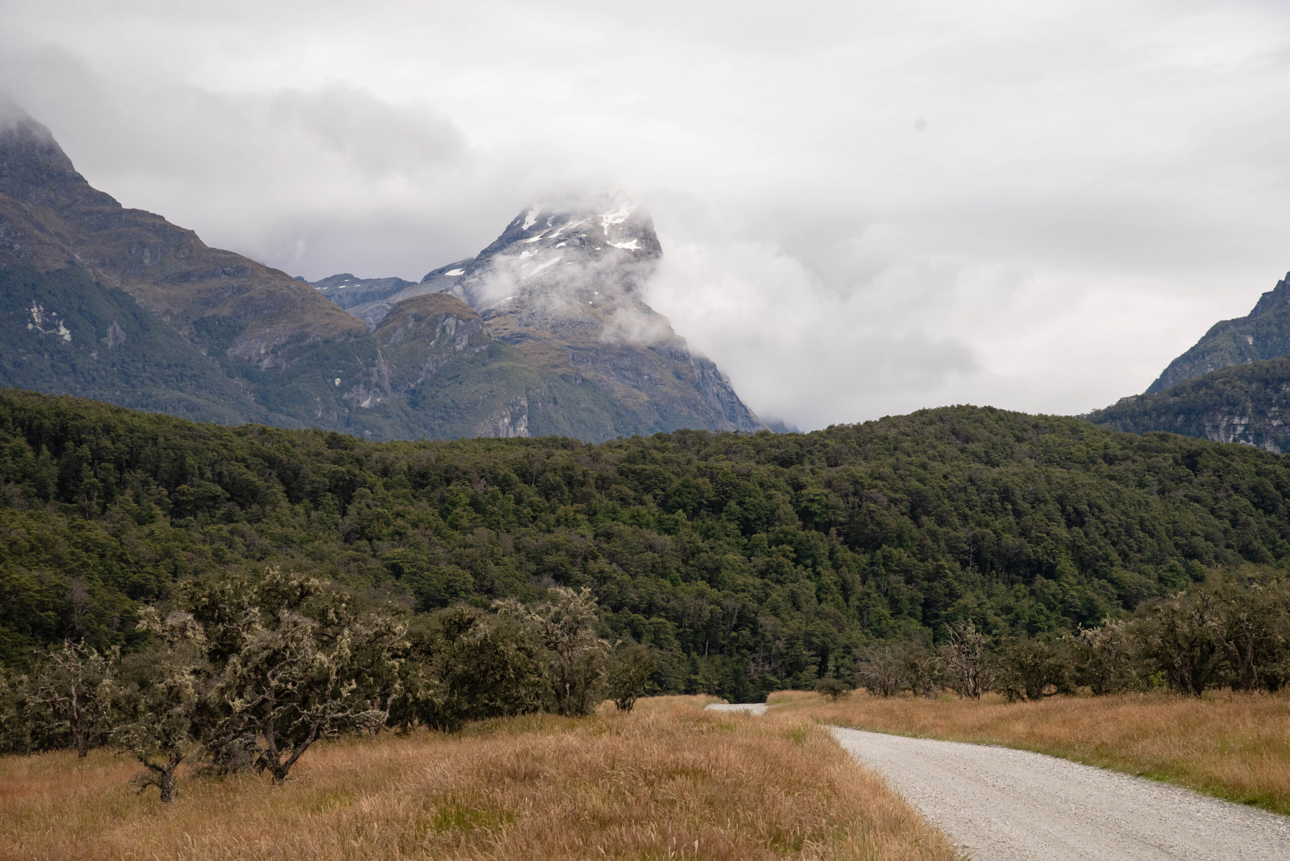 20260124_NewZealand8120