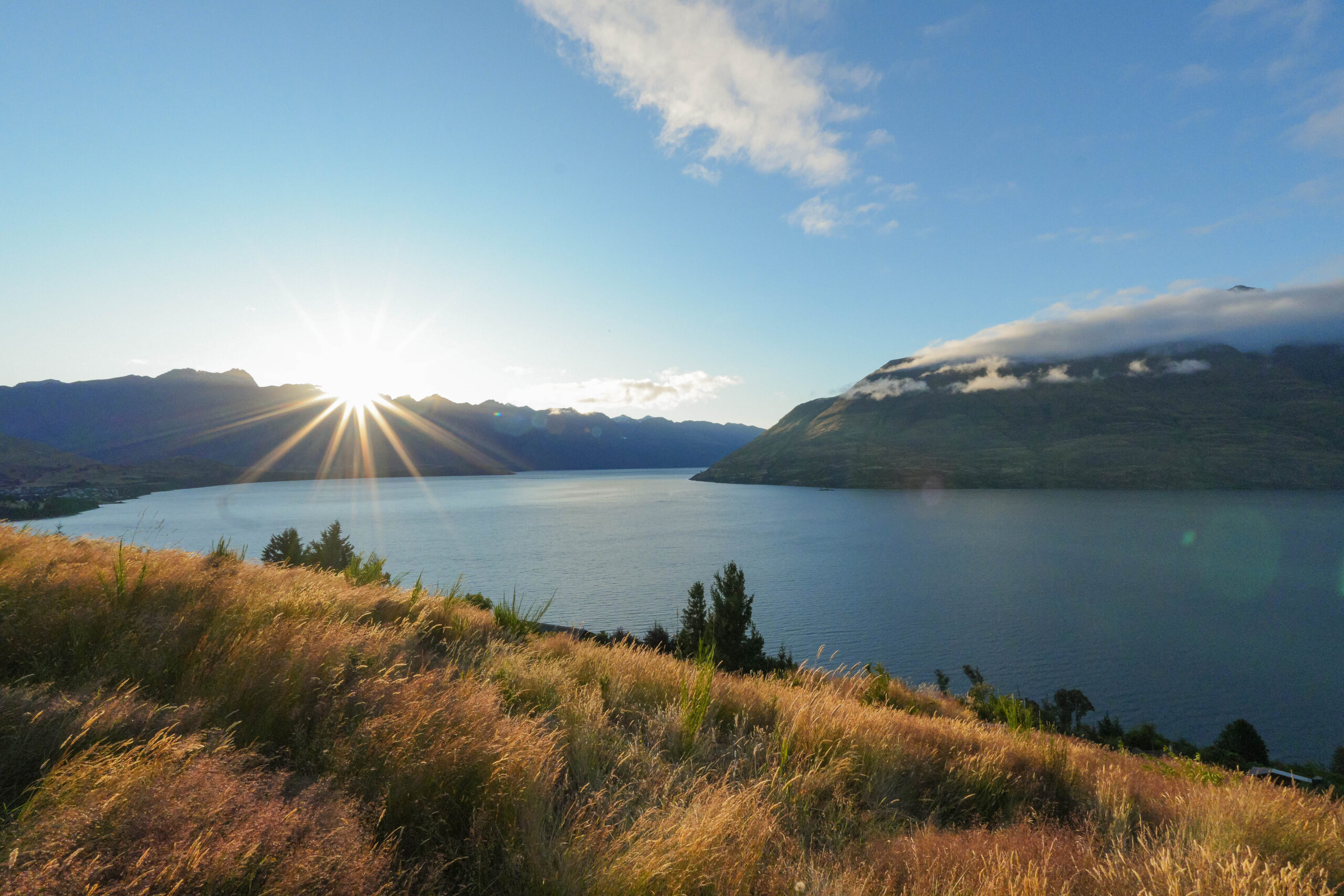 20260126_NewZealand00261