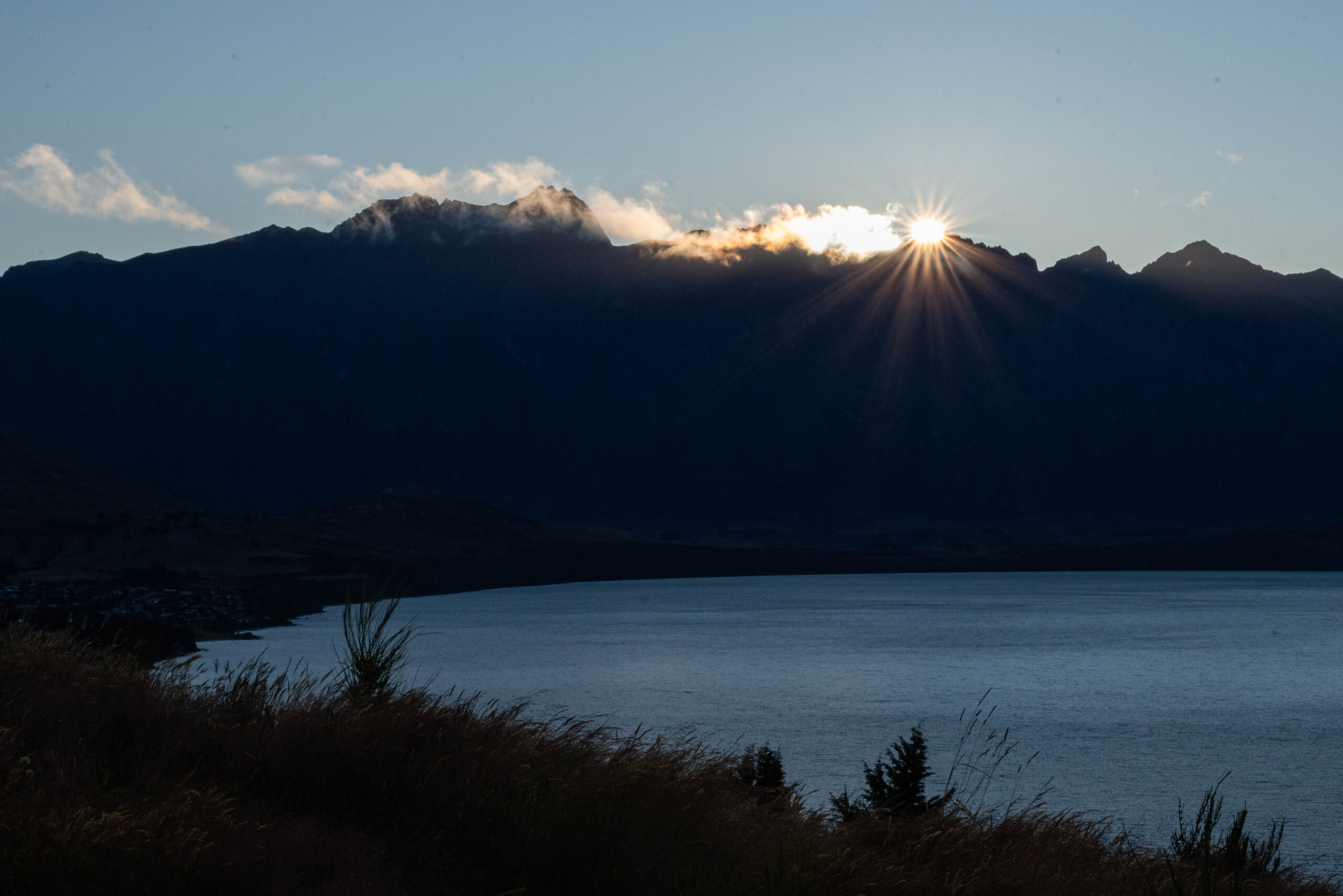 20260126_NewZealand8245