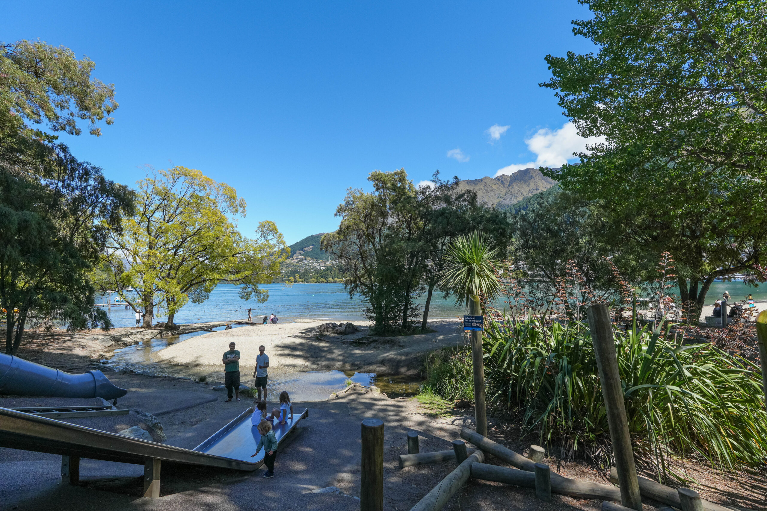 20260127_NewZealand00353