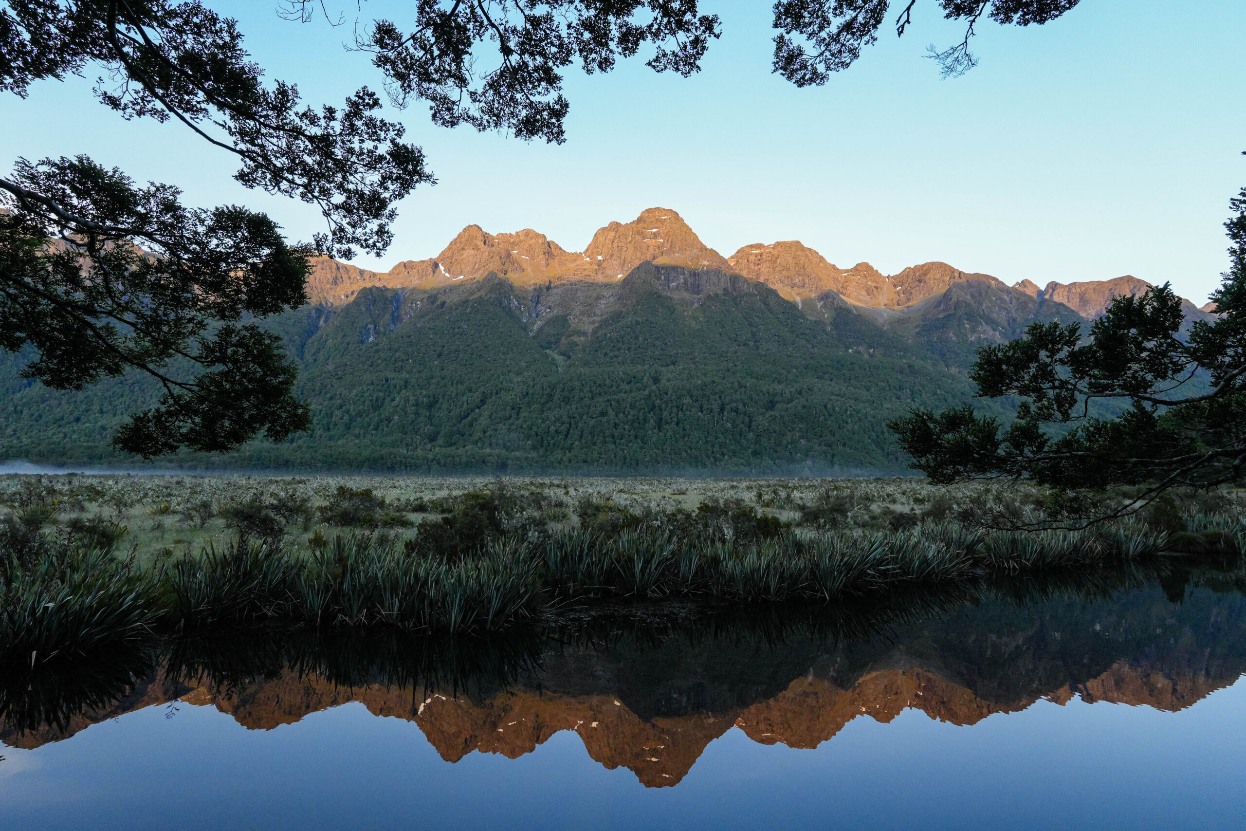 20260127_NewZealand00371