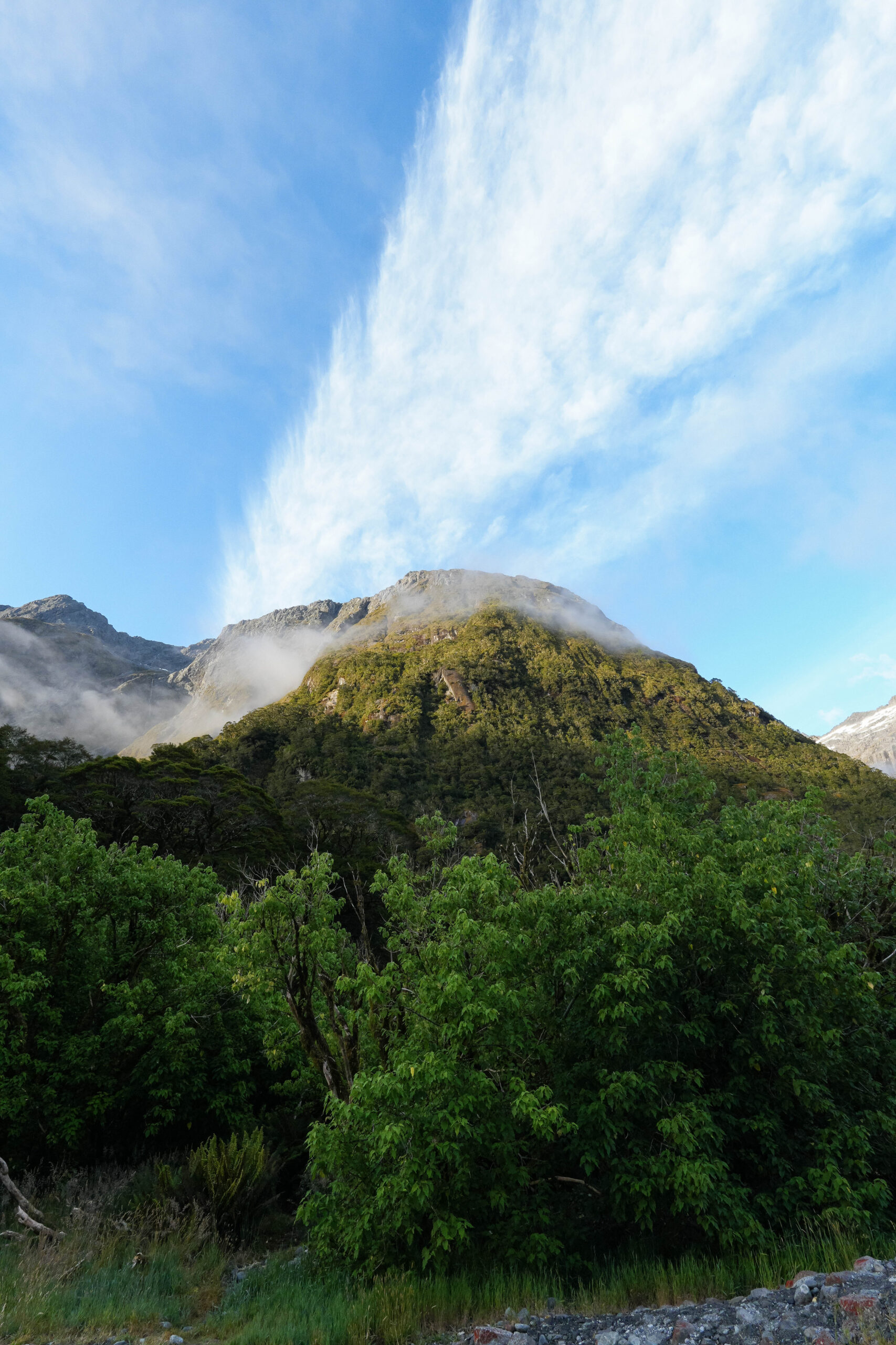 20260128_NewZealand00404