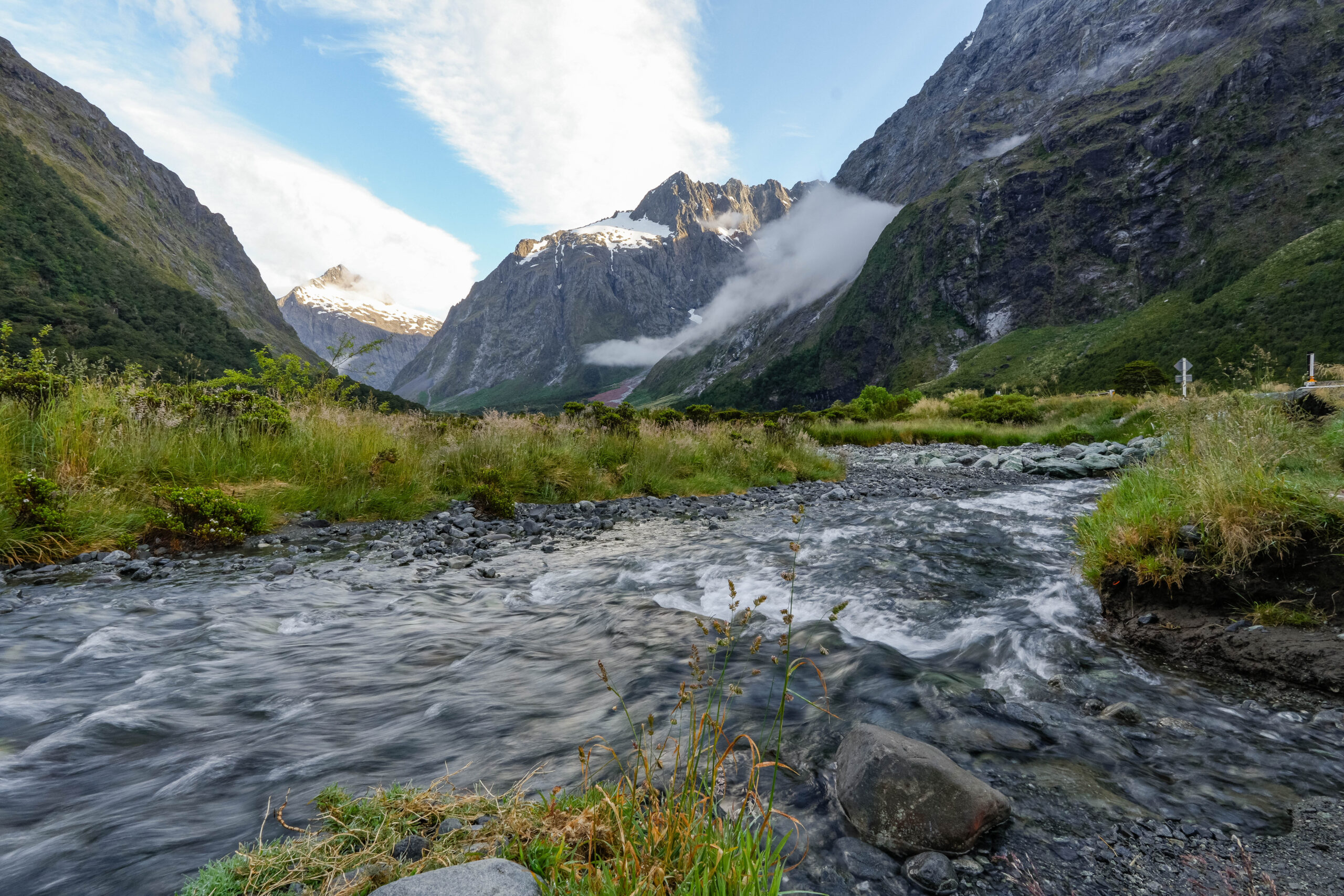 20260128_NewZealand00414