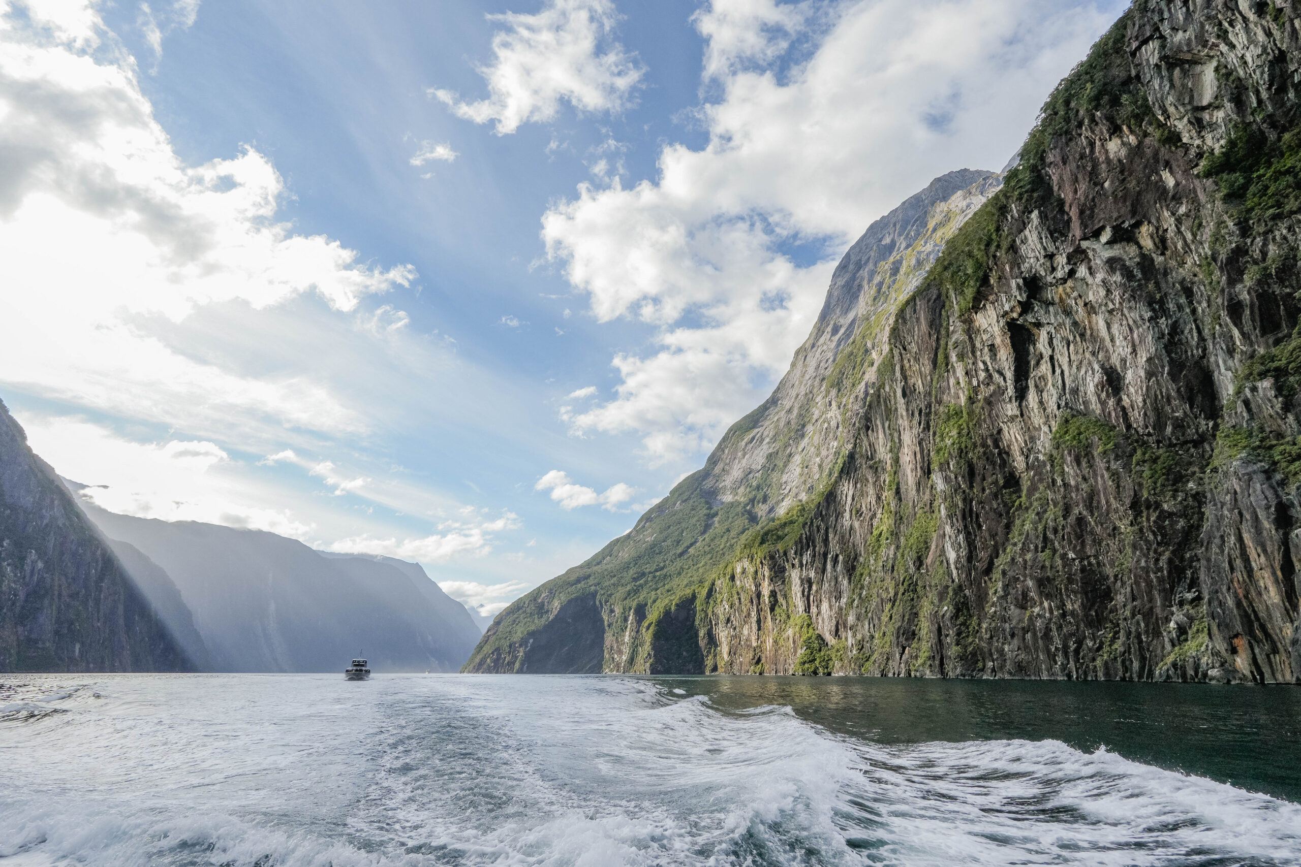 20260128_NewZealand00446