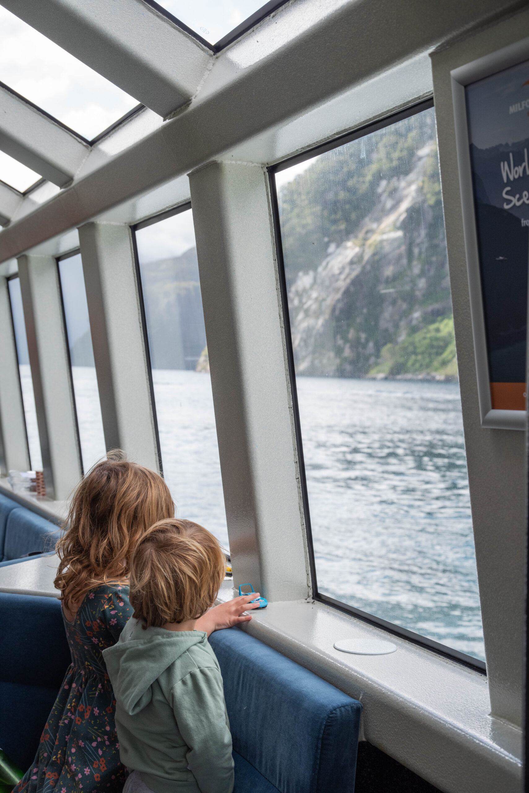 20260128_NewZealand8346