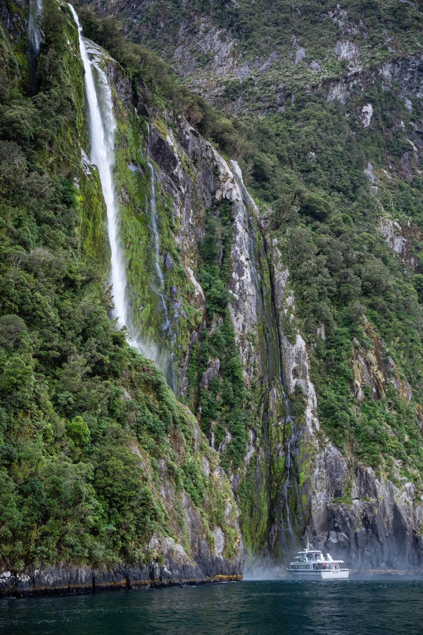 20260128_NewZealand8366