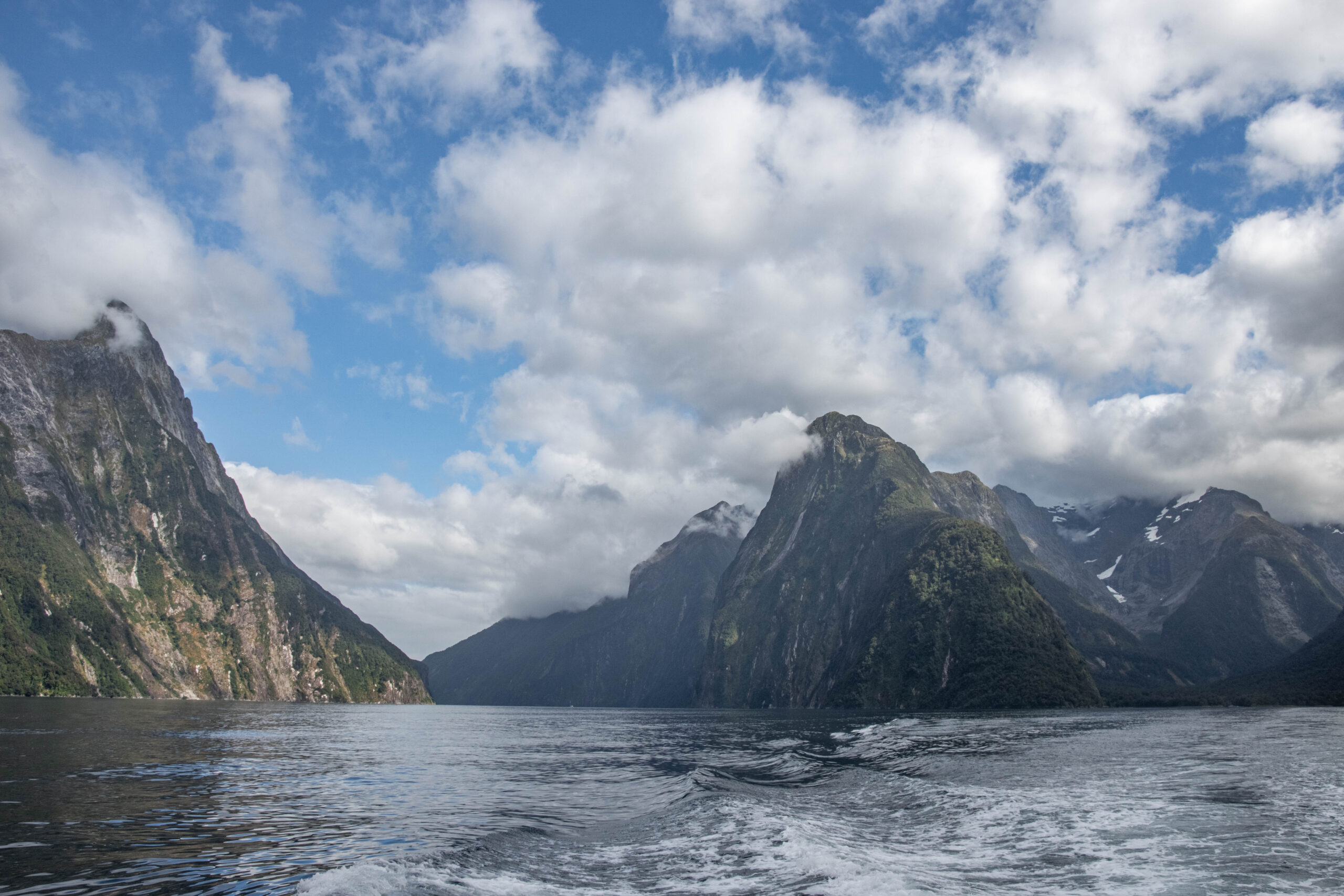 20260128_NewZealand8383