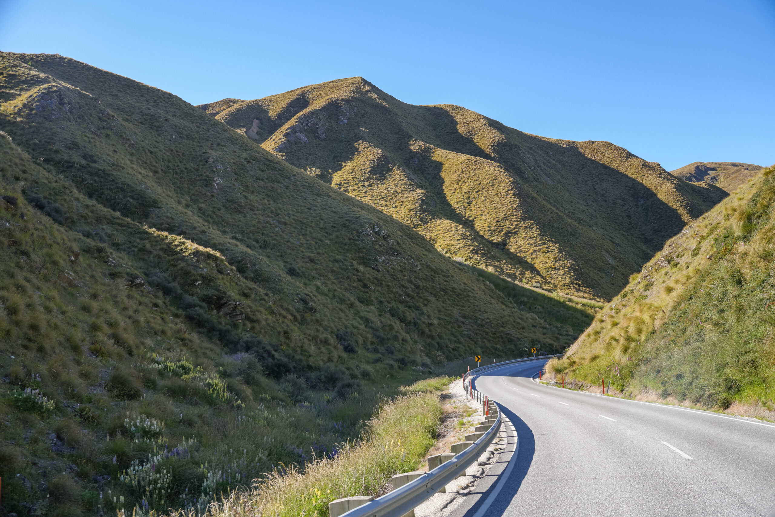 20260130_NewZealand00662