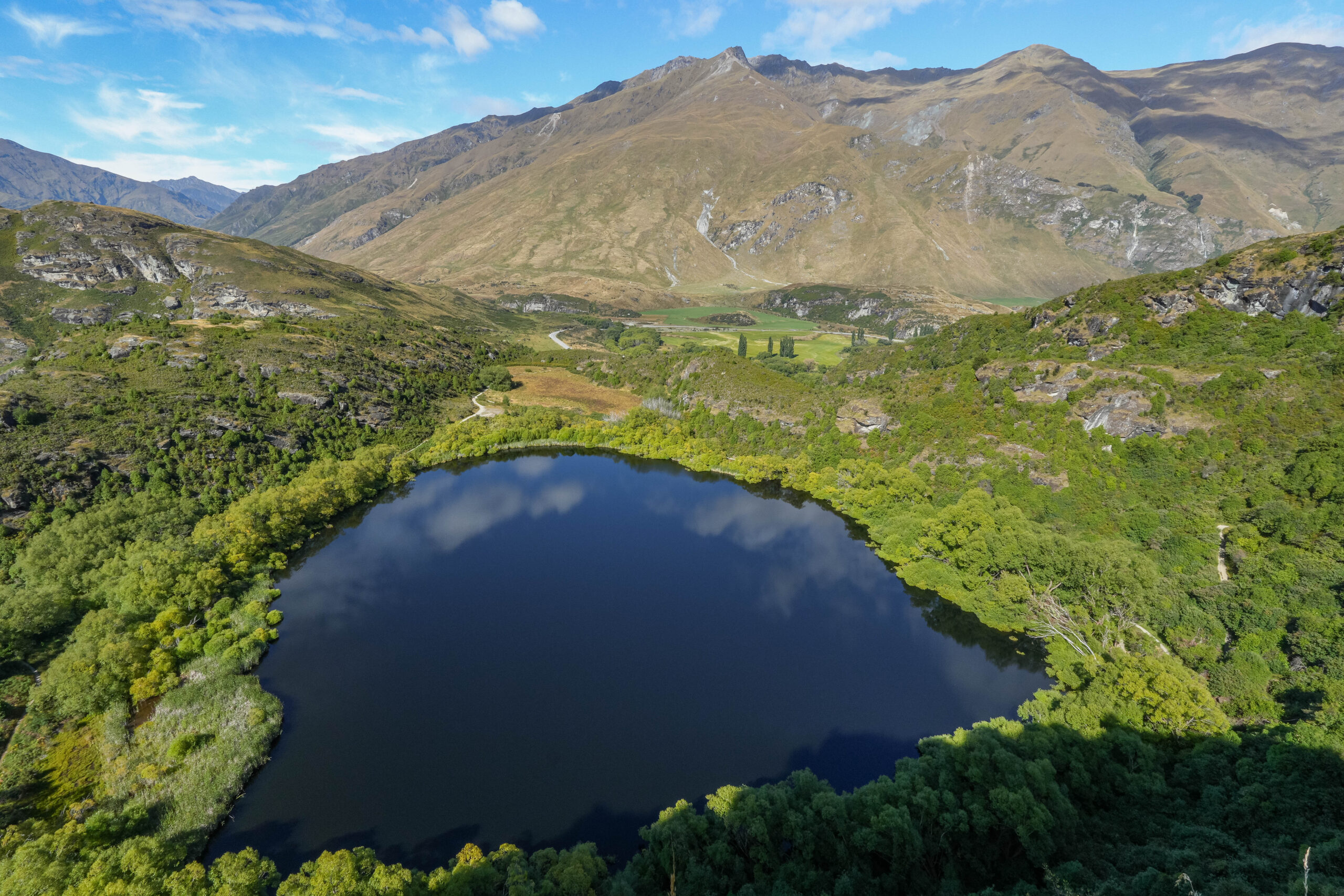 20260201_NewZealand00710