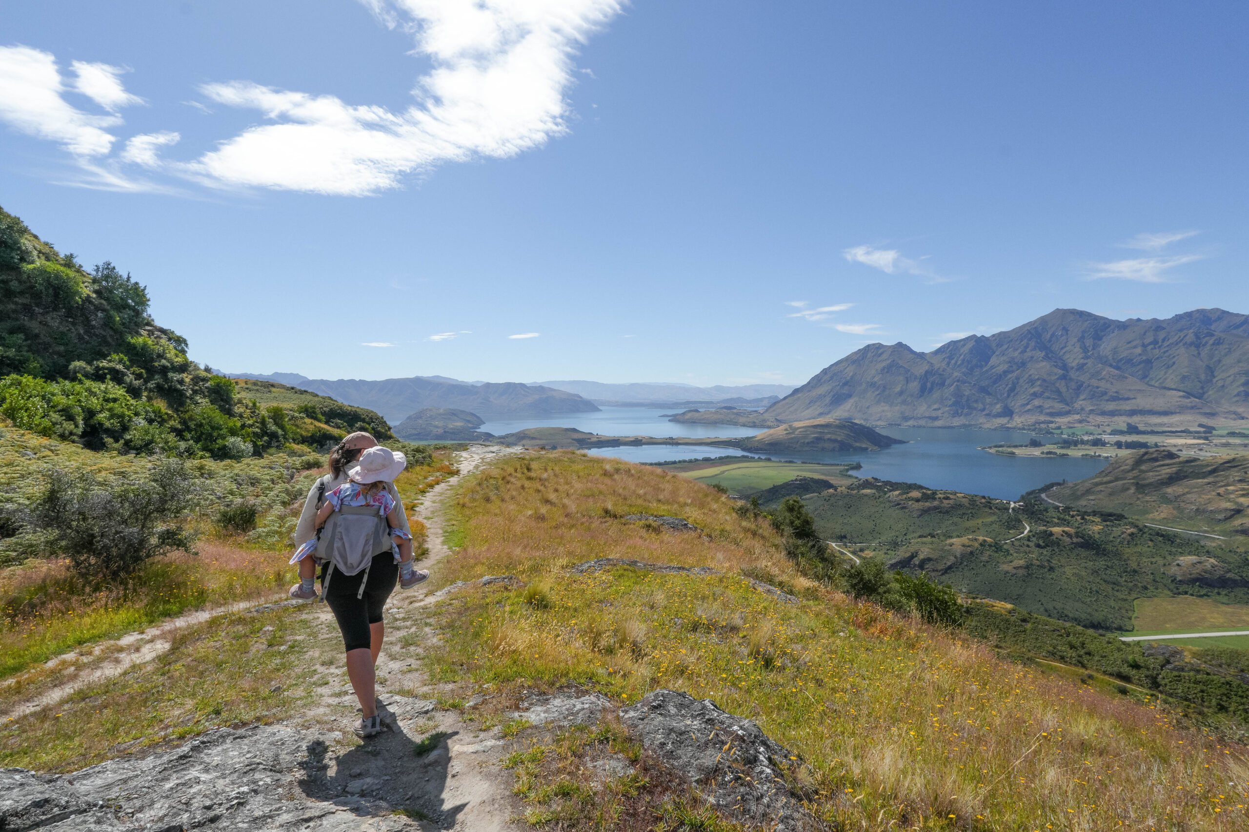 20260201_NewZealand00742