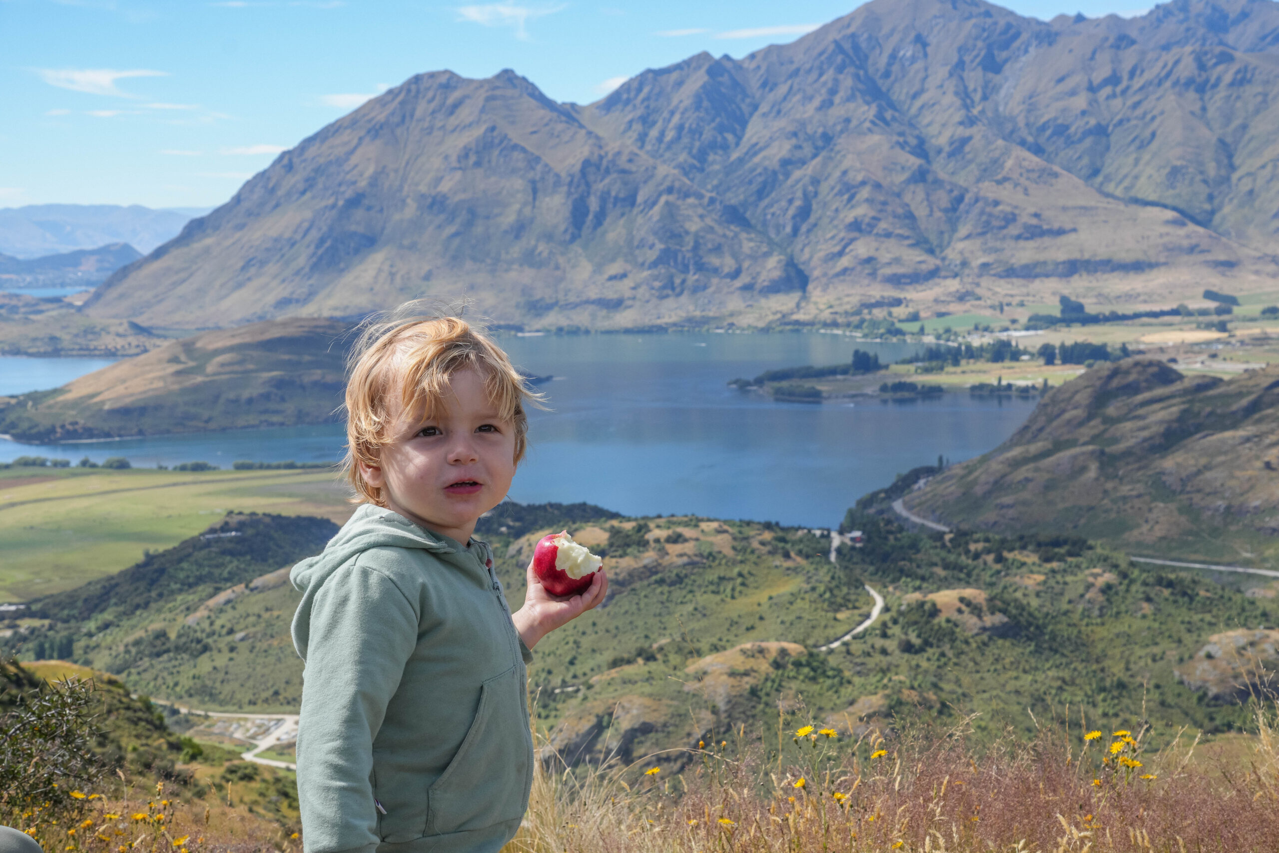 20260201_NewZealand00758