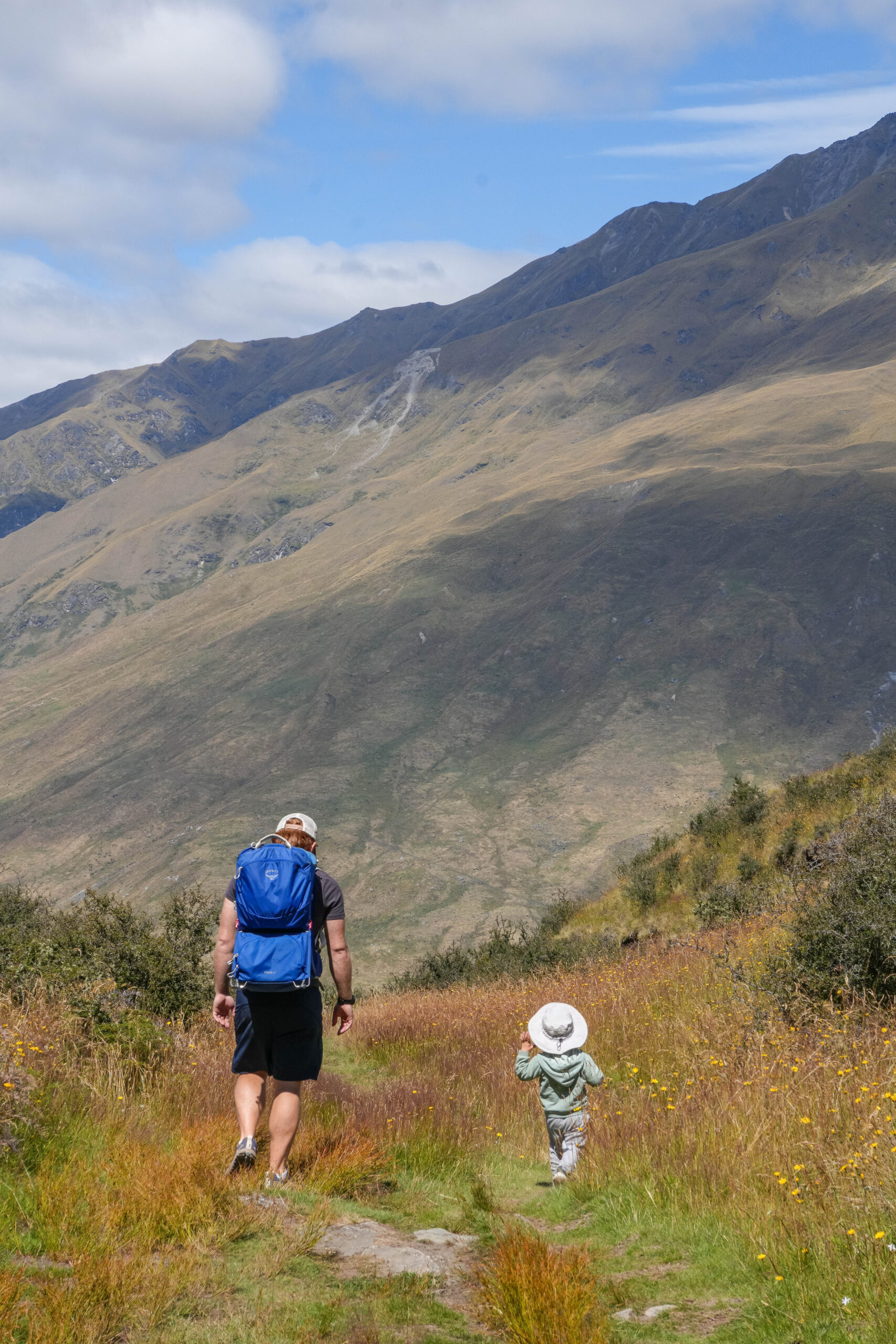 20260201_NewZealand00788