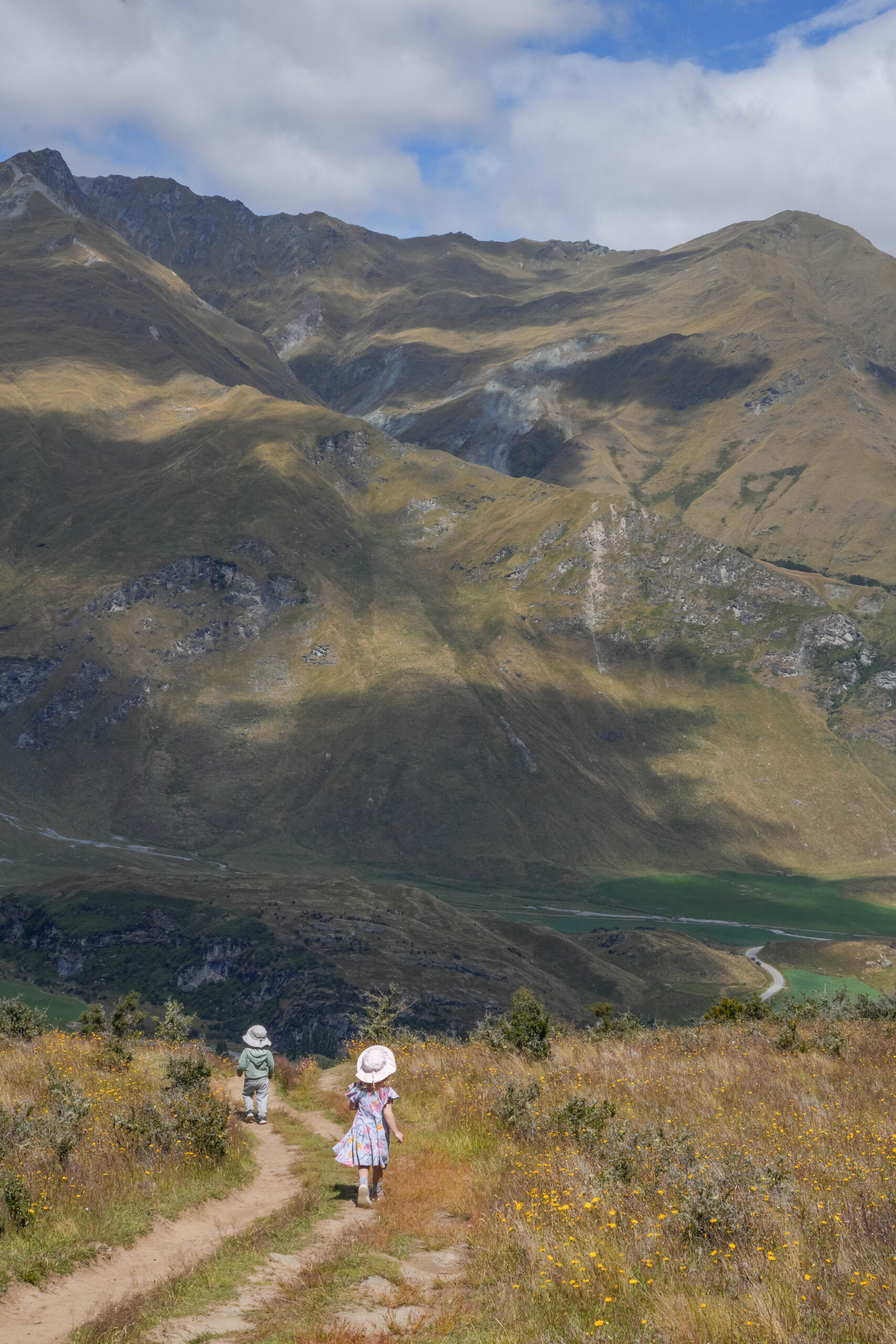 20260201_NewZealand00799