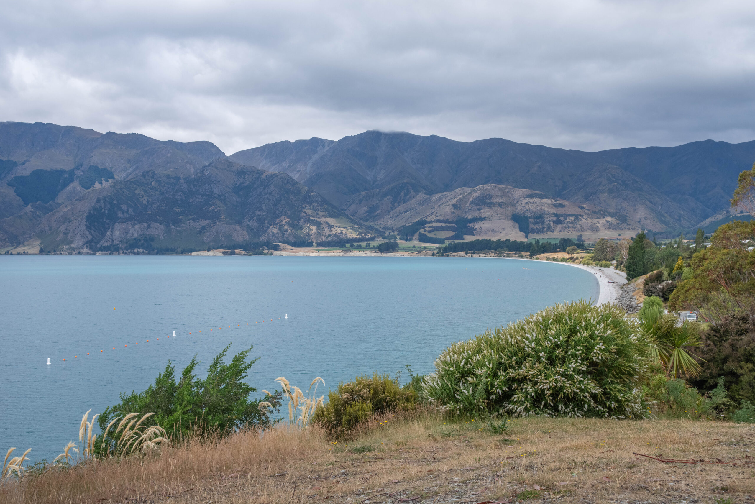 20260203_NewZealand8467