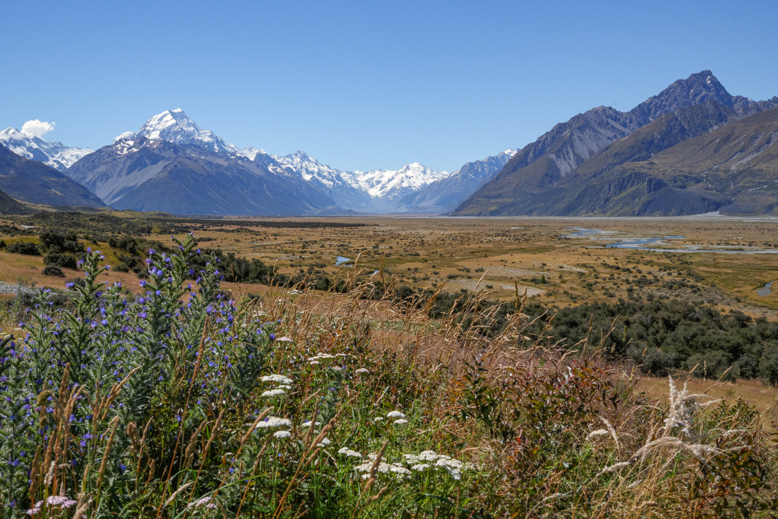 20260204_NewZealand00817