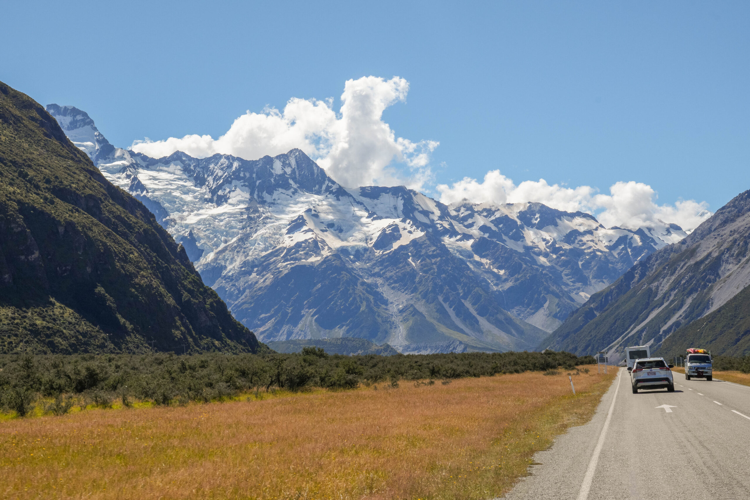 20260204_NewZealand00829