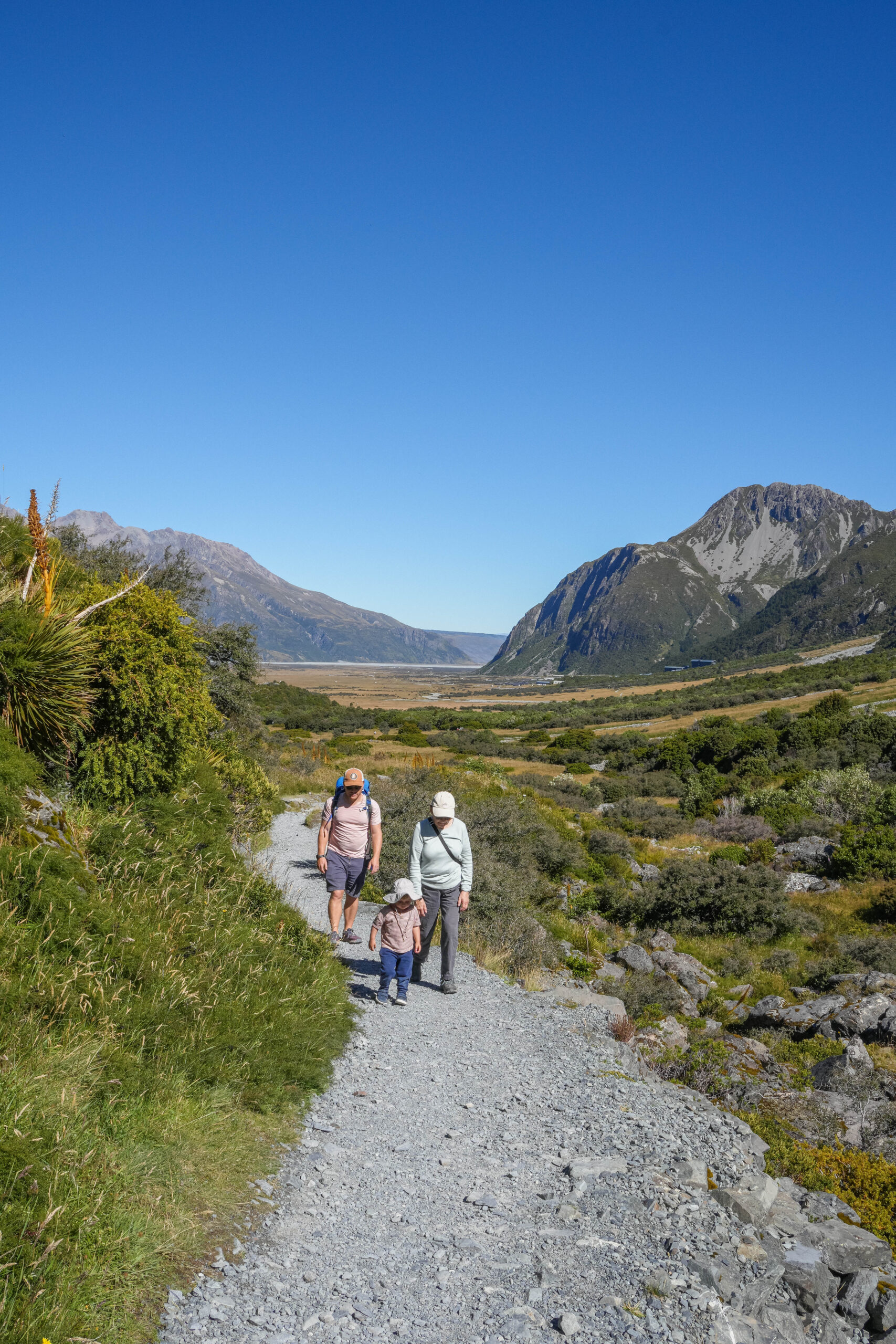 20260204_NewZealand00896