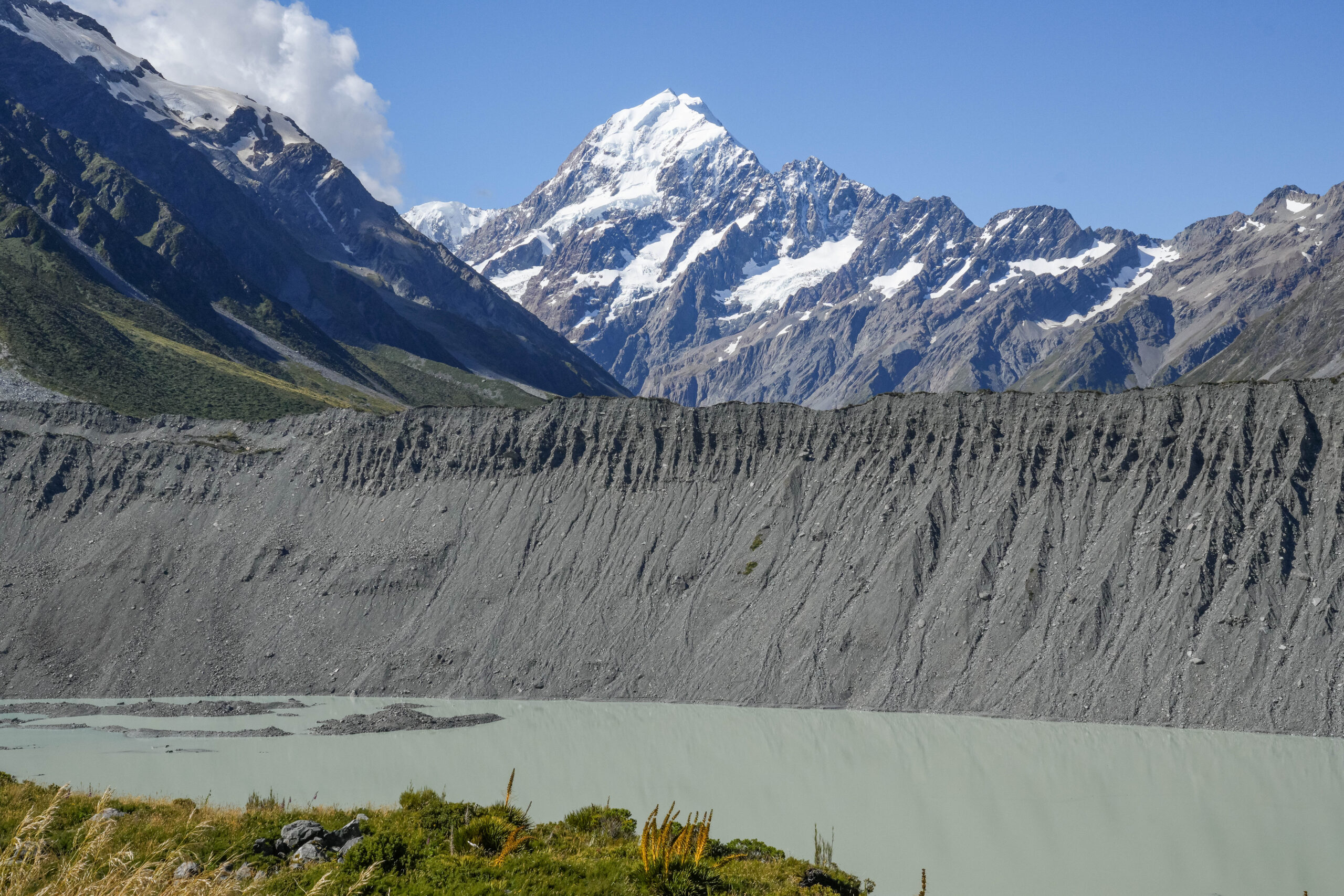 20260204_NewZealand00901