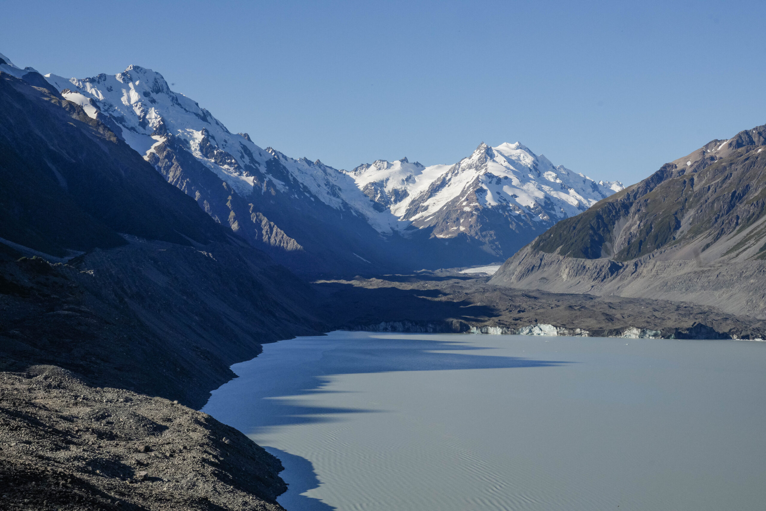 20260204_NewZealand00938