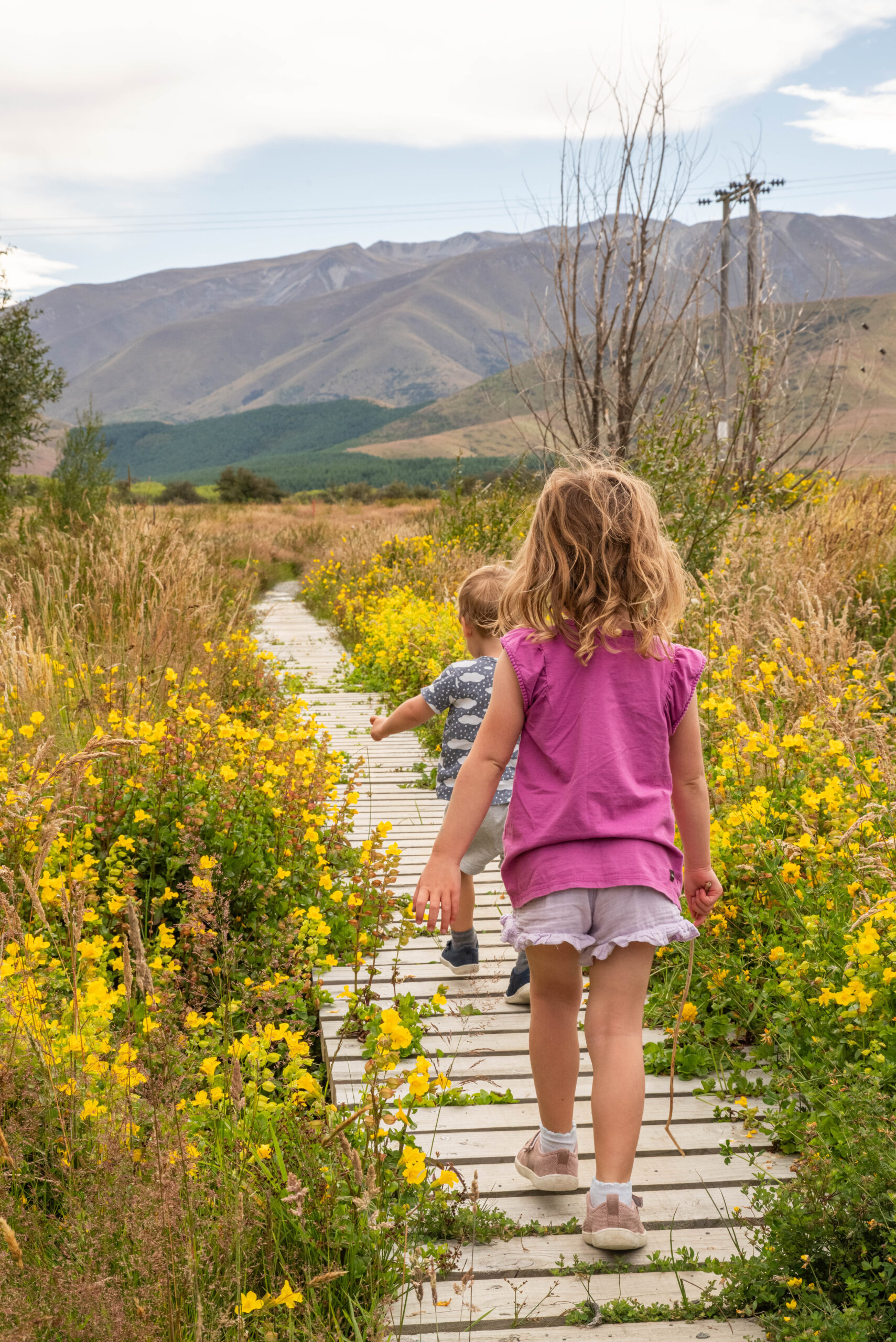 20260205_NewZealand8511