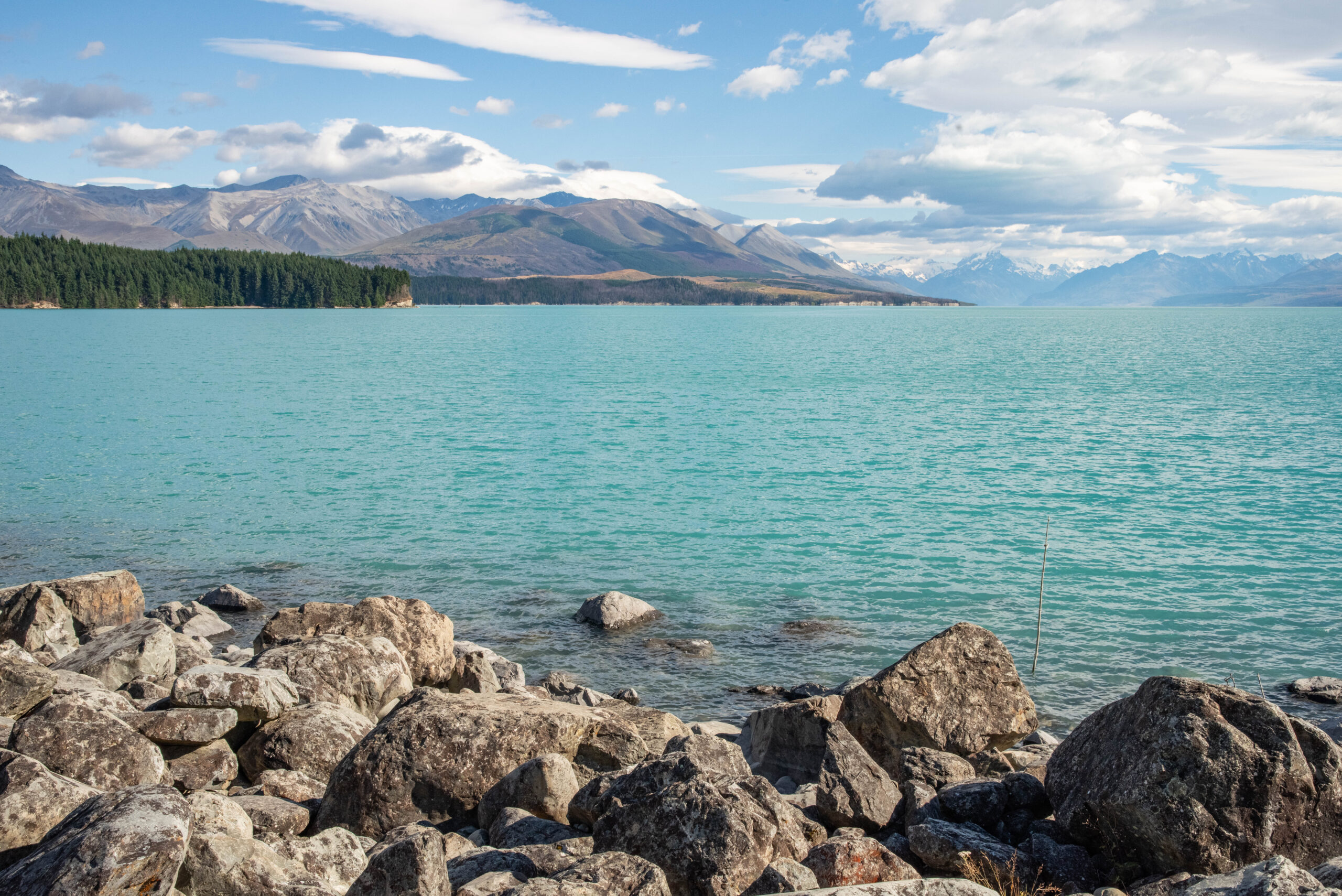 20260207_NewZealand8565