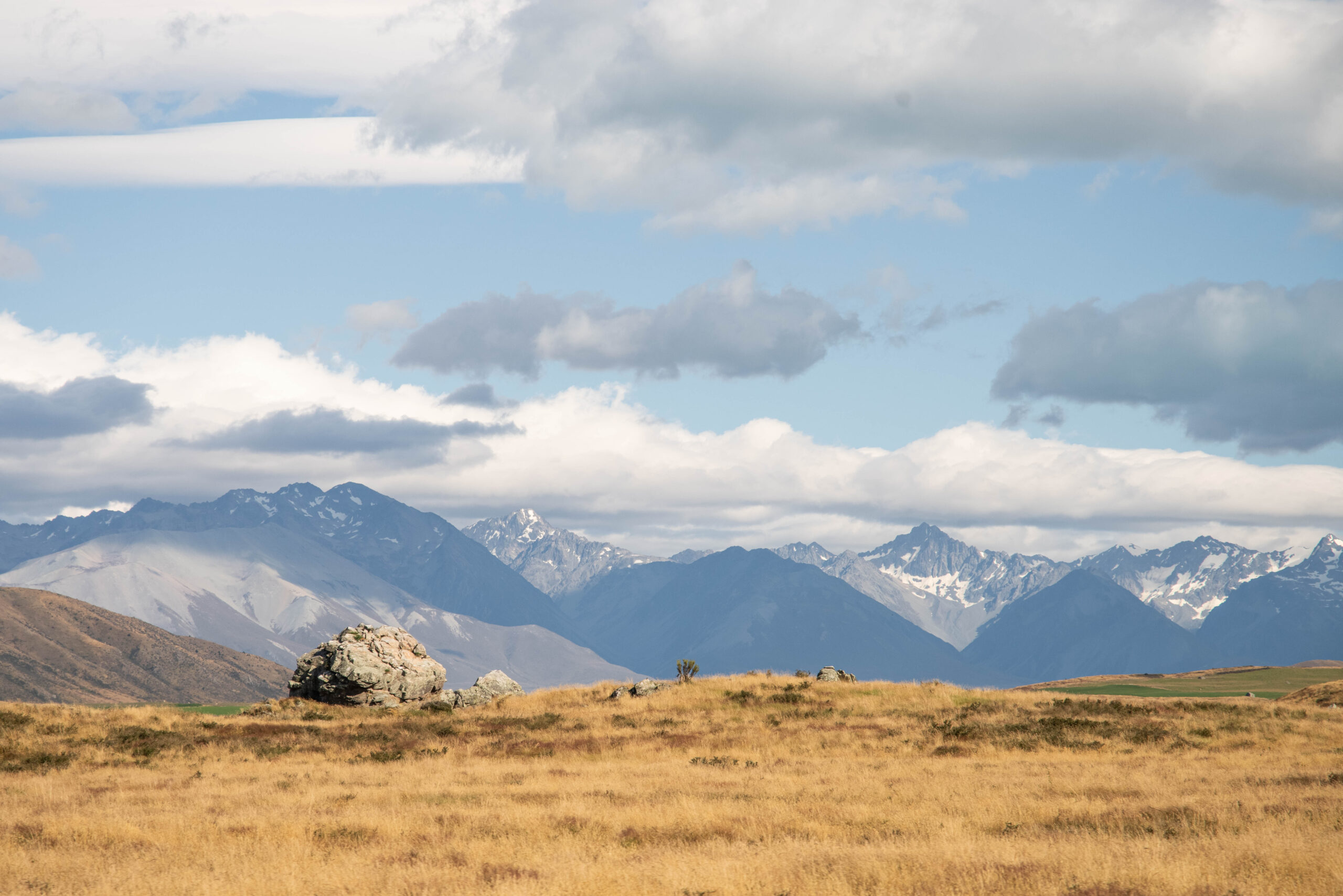 20260207_NewZealand8577