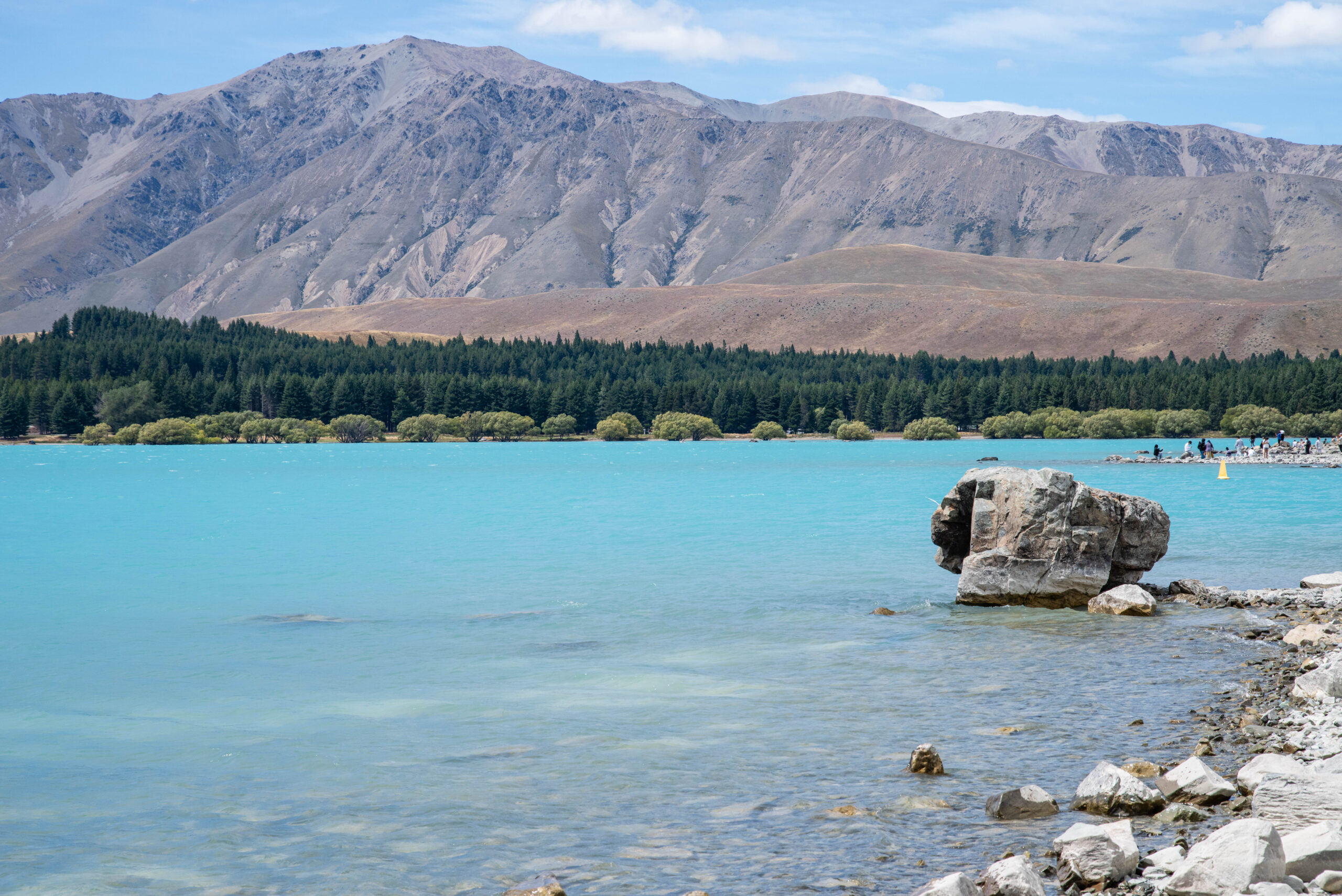 20260207_NewZealand8601