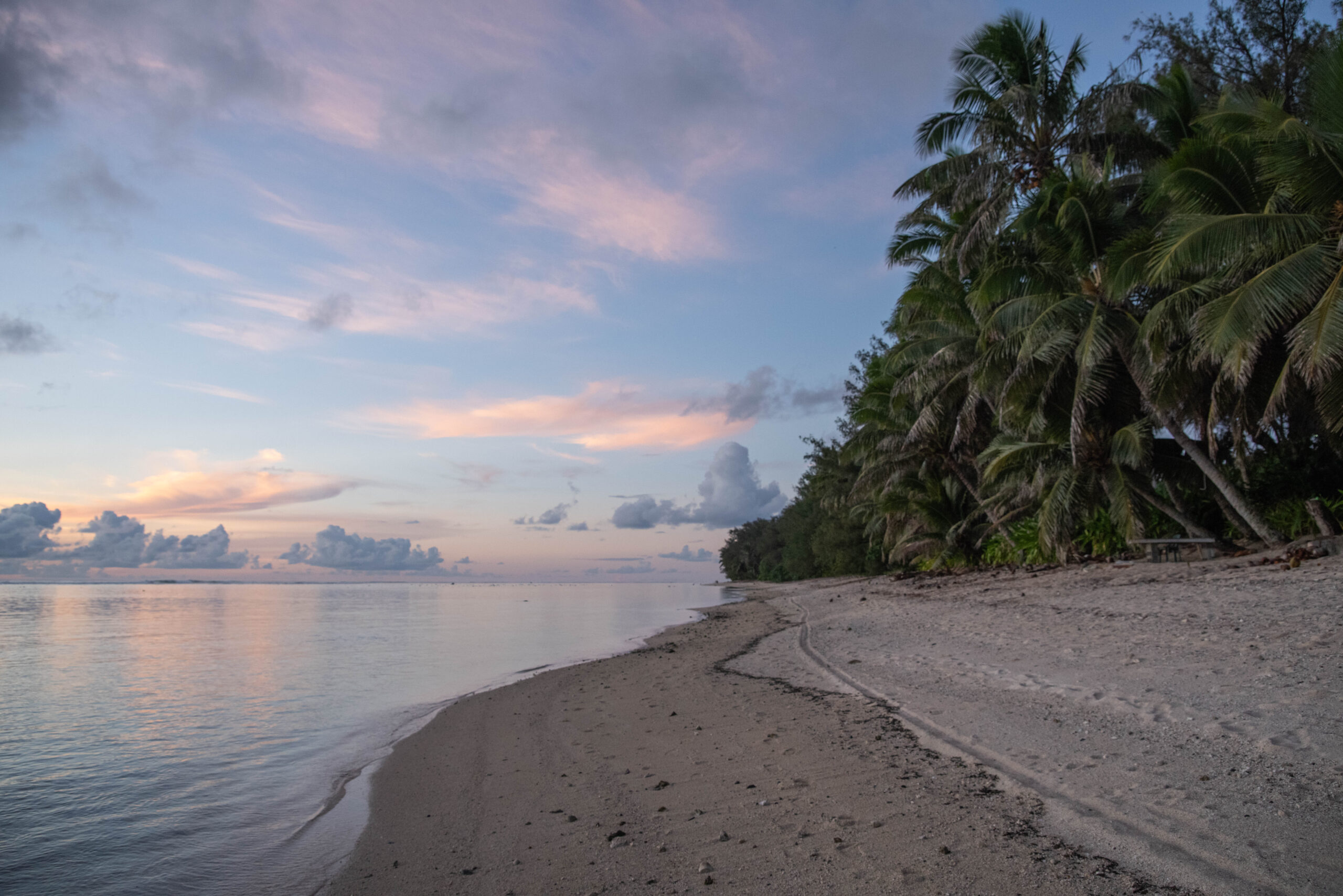 20260211_CookIslands8616