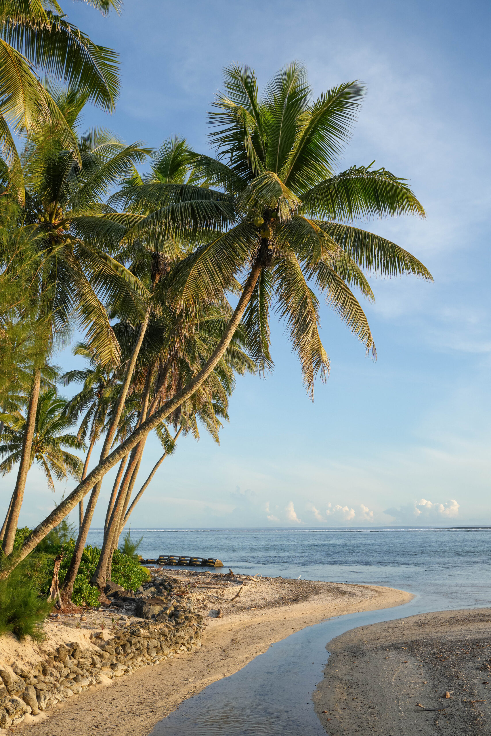 20260213_CookIslands01067