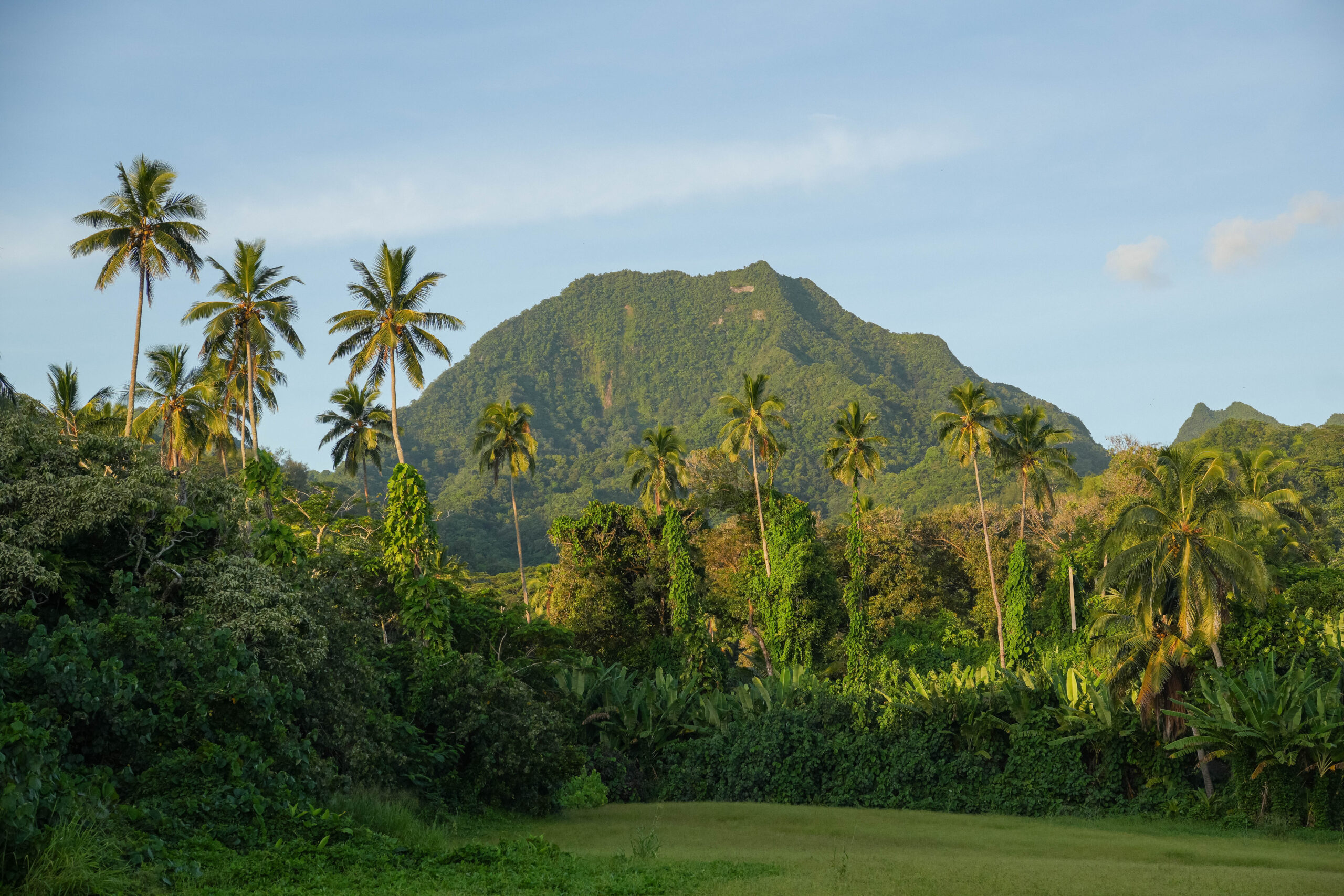 20260213_CookIslands01070