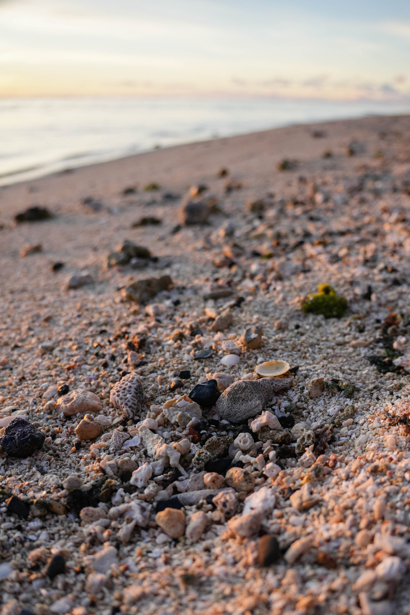 20260213_CookIslands01075