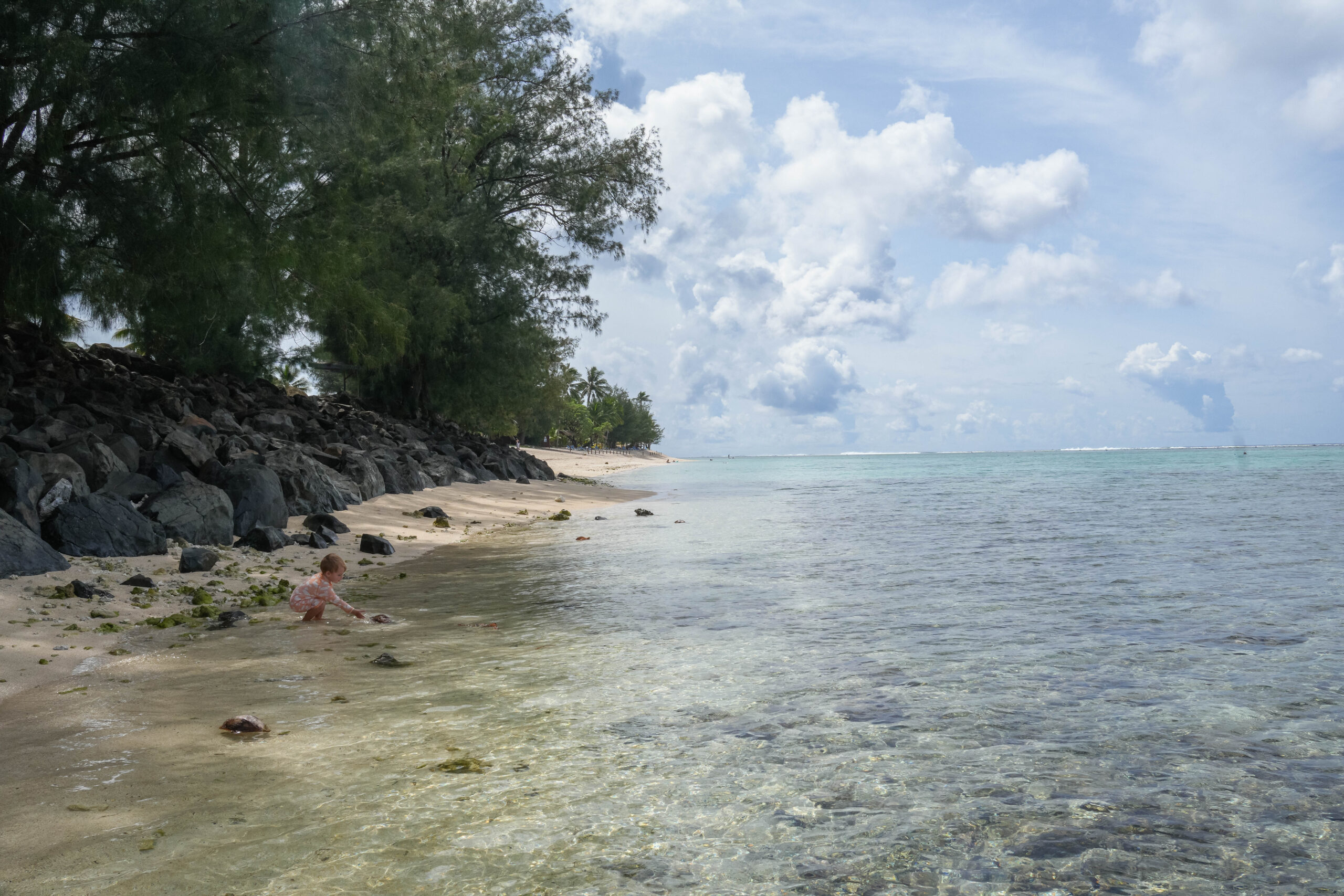 20260214_CookIslands01123