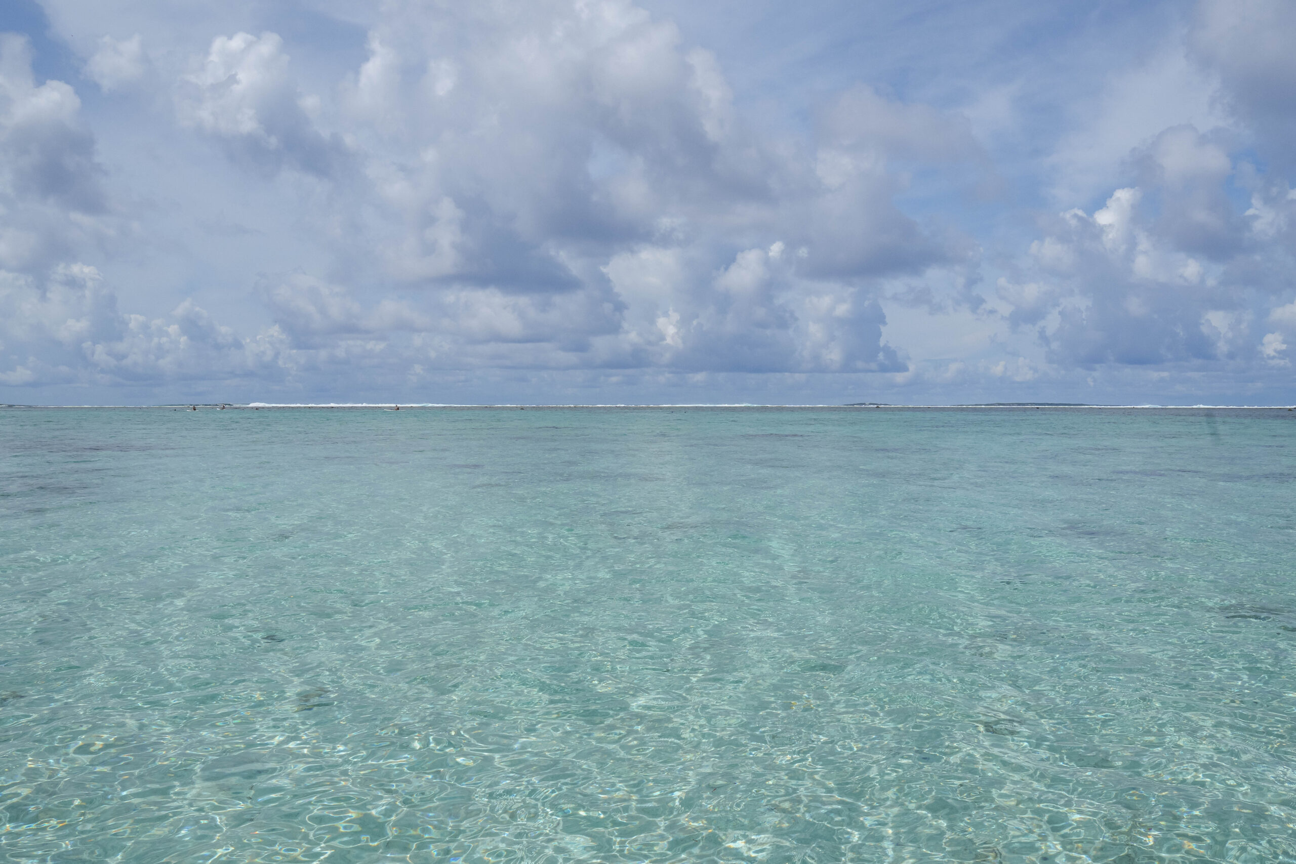 20260214_CookIslands01195