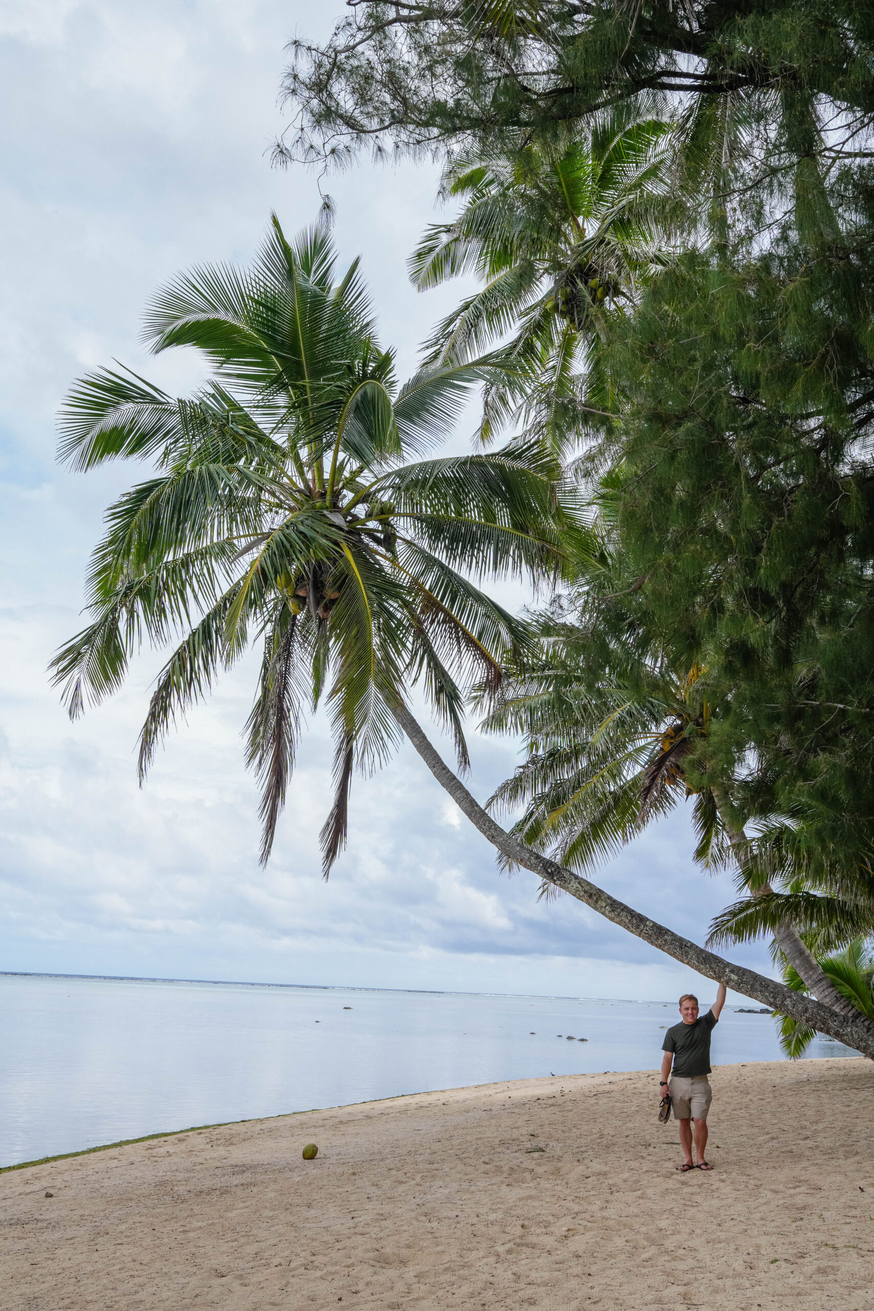 20260215_CookIslands01239