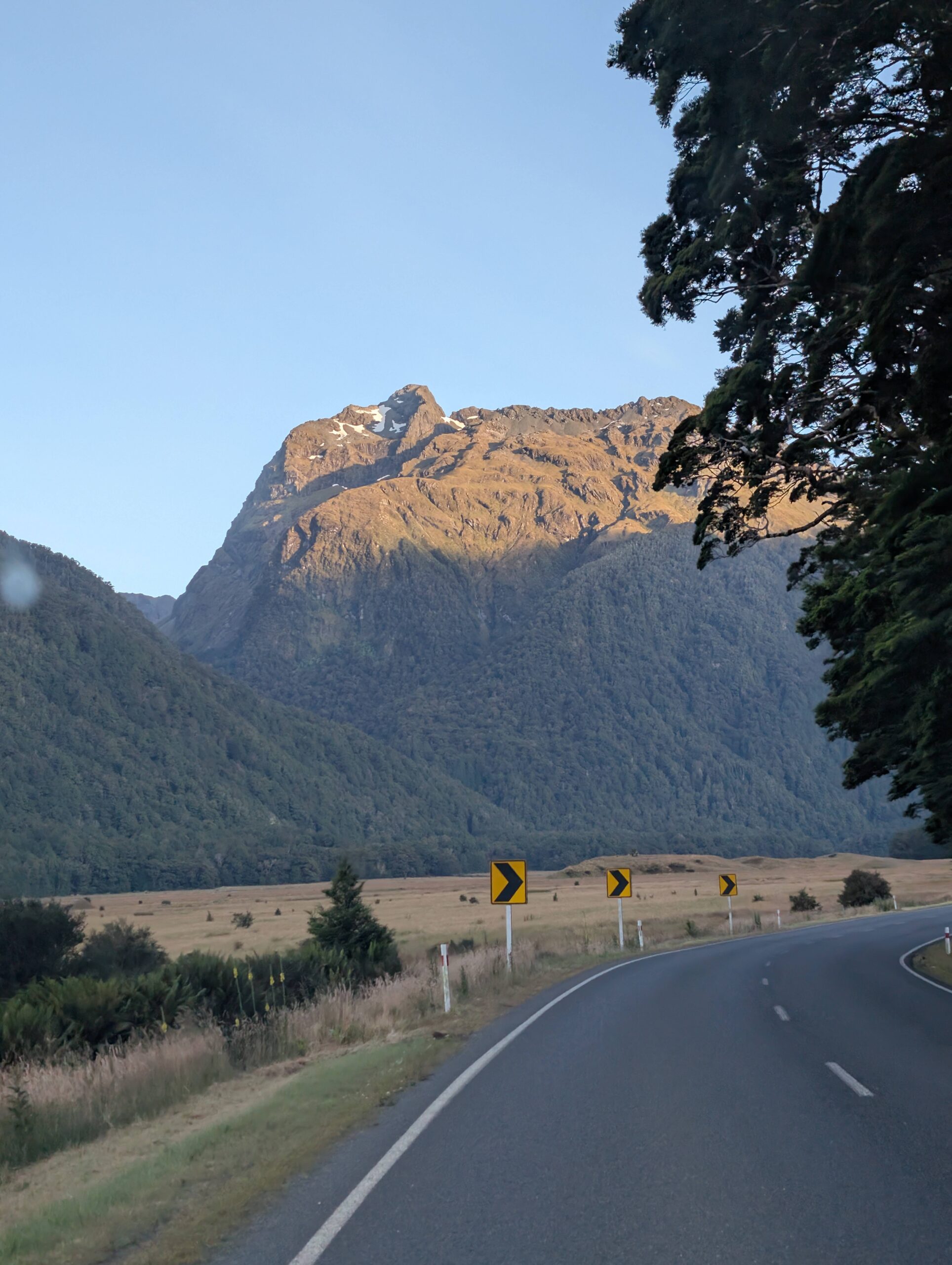 PXL_20260127_181333483.RAW-01.COVER