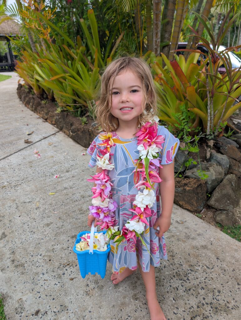 PXL_20260214_012049640.RAW-01.COVER