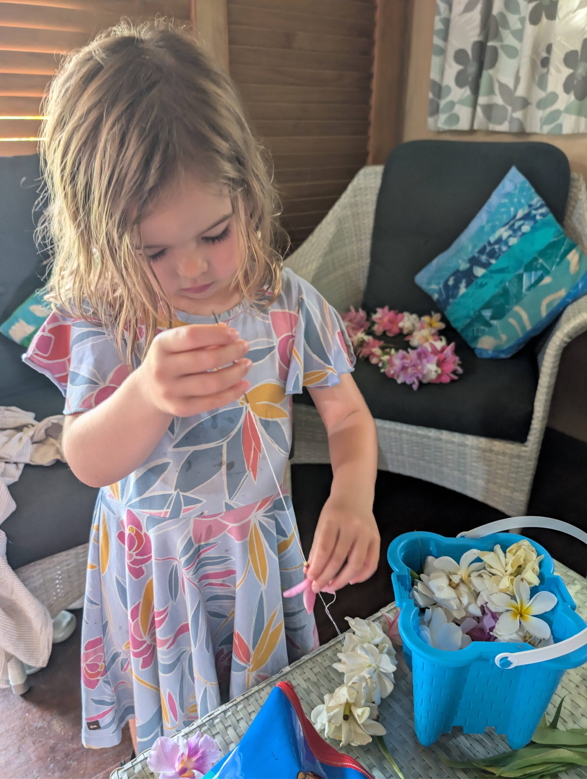 PXL_20260214_013516885.RAW-01.COVER