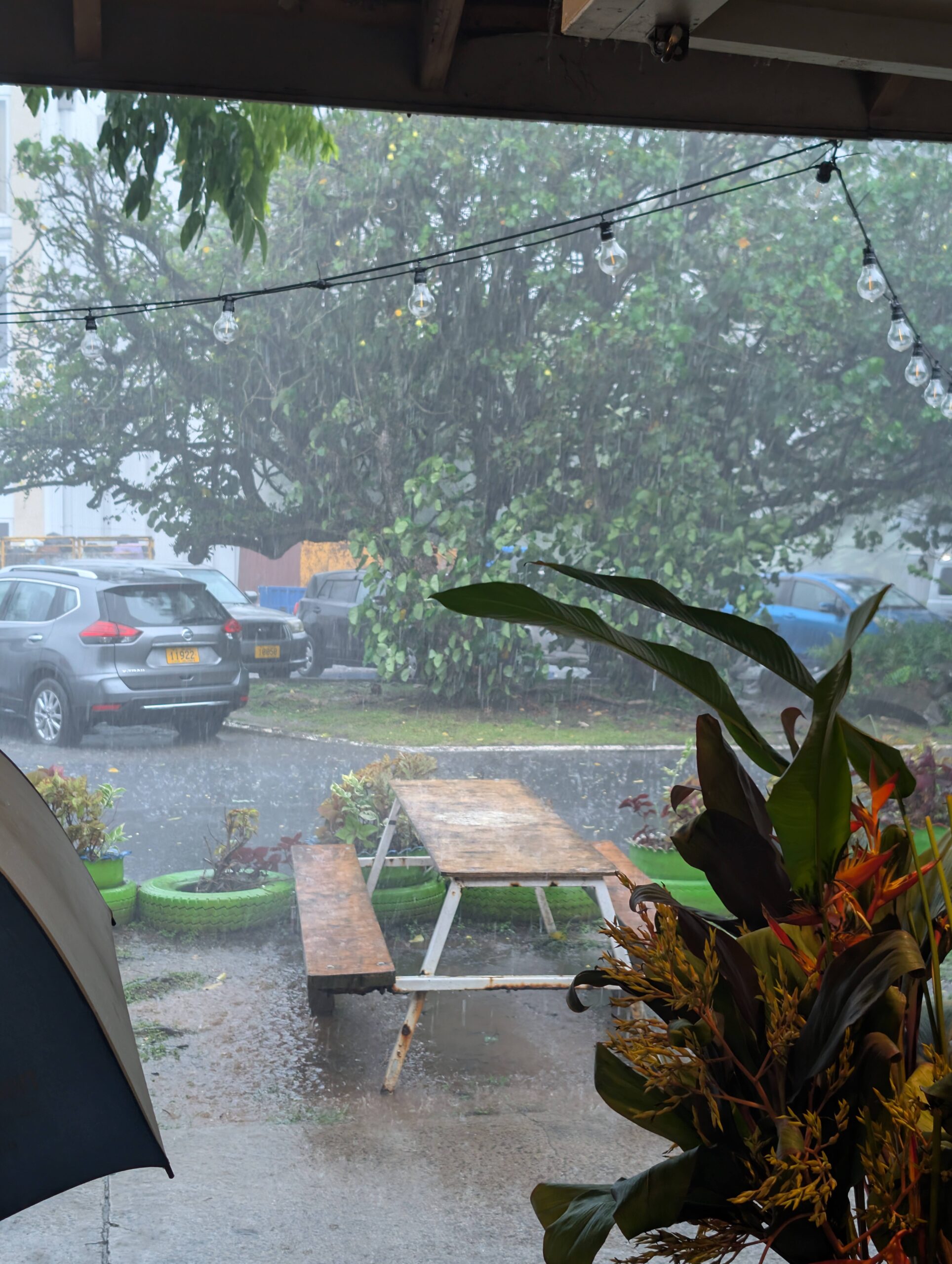 PXL_20260214_200630560.RAW-01.COVER