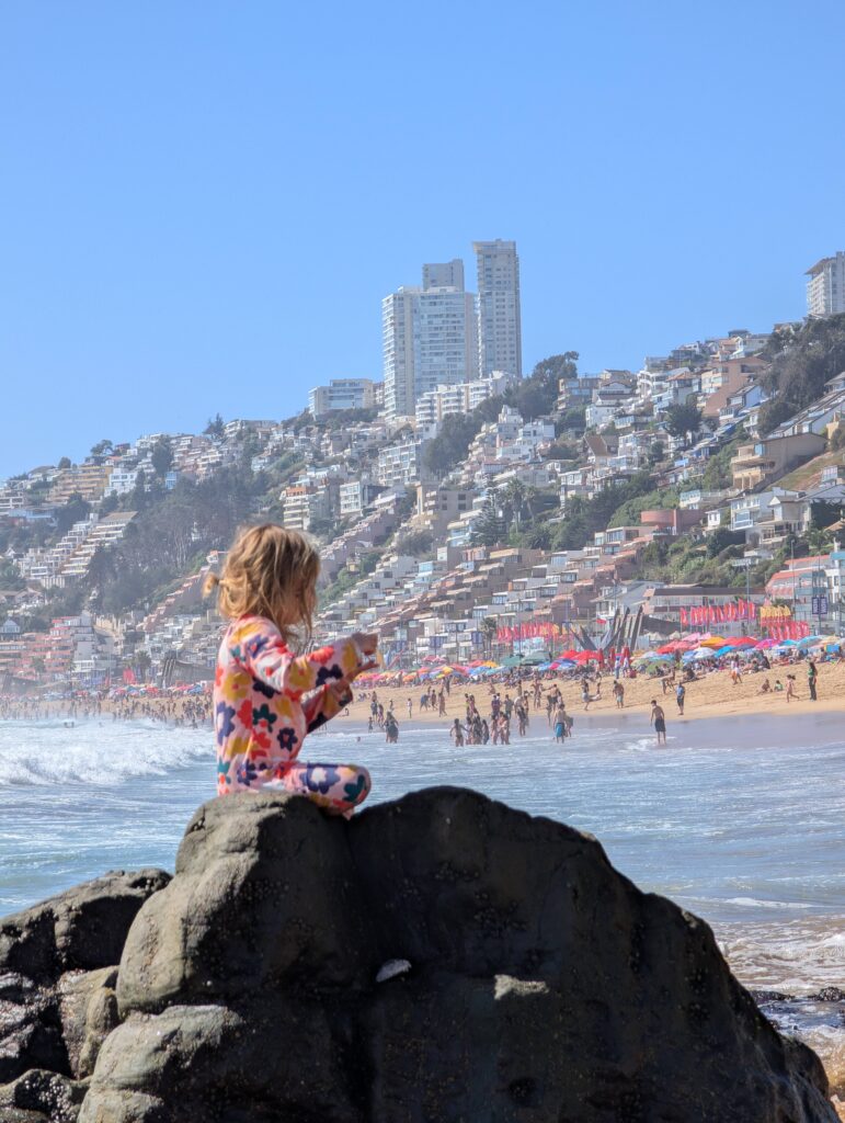 PXL_20260220_195859117.RAW-01.COVER