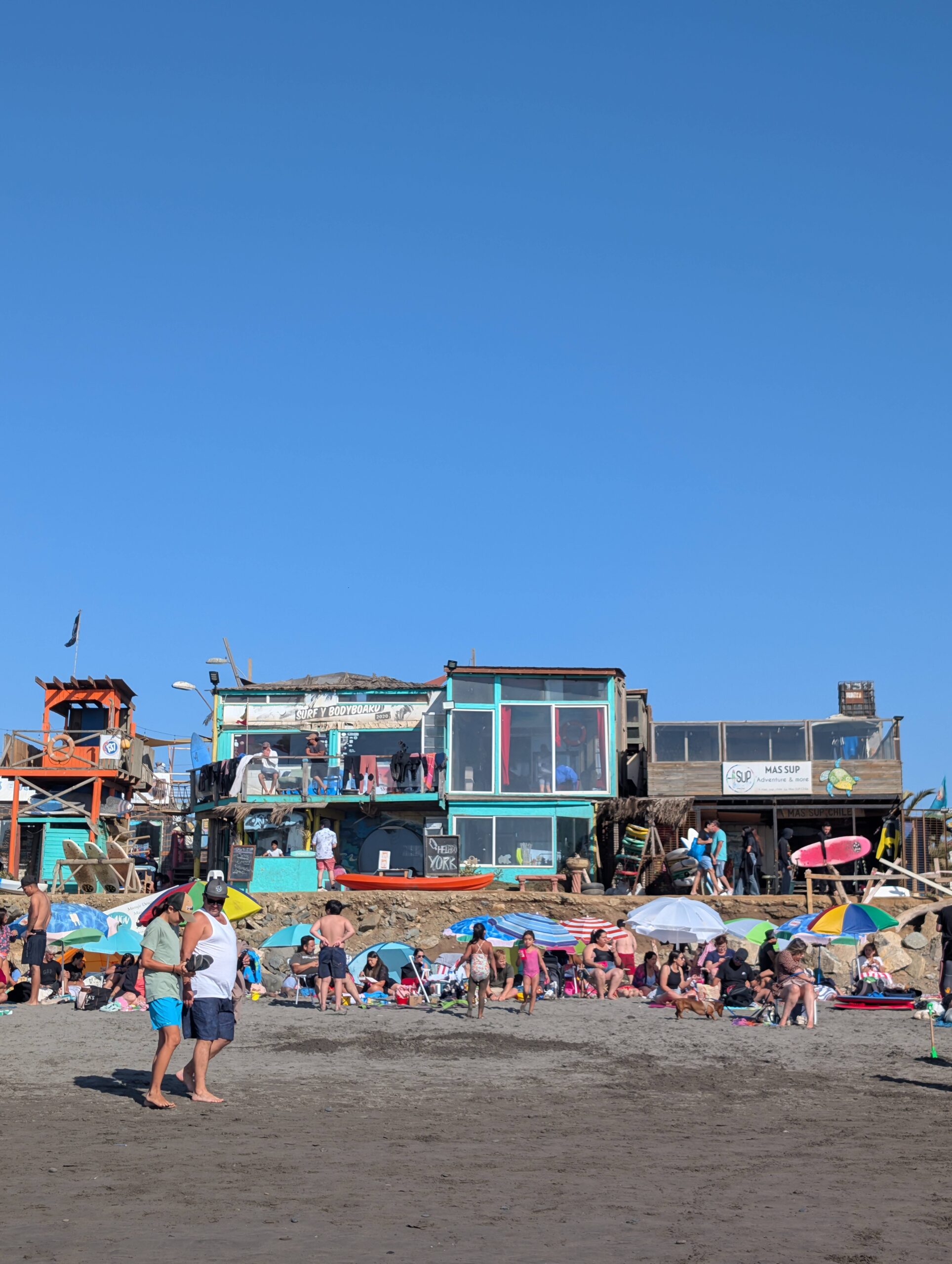 PXL_20260221_204831514.RAW-01.COVER