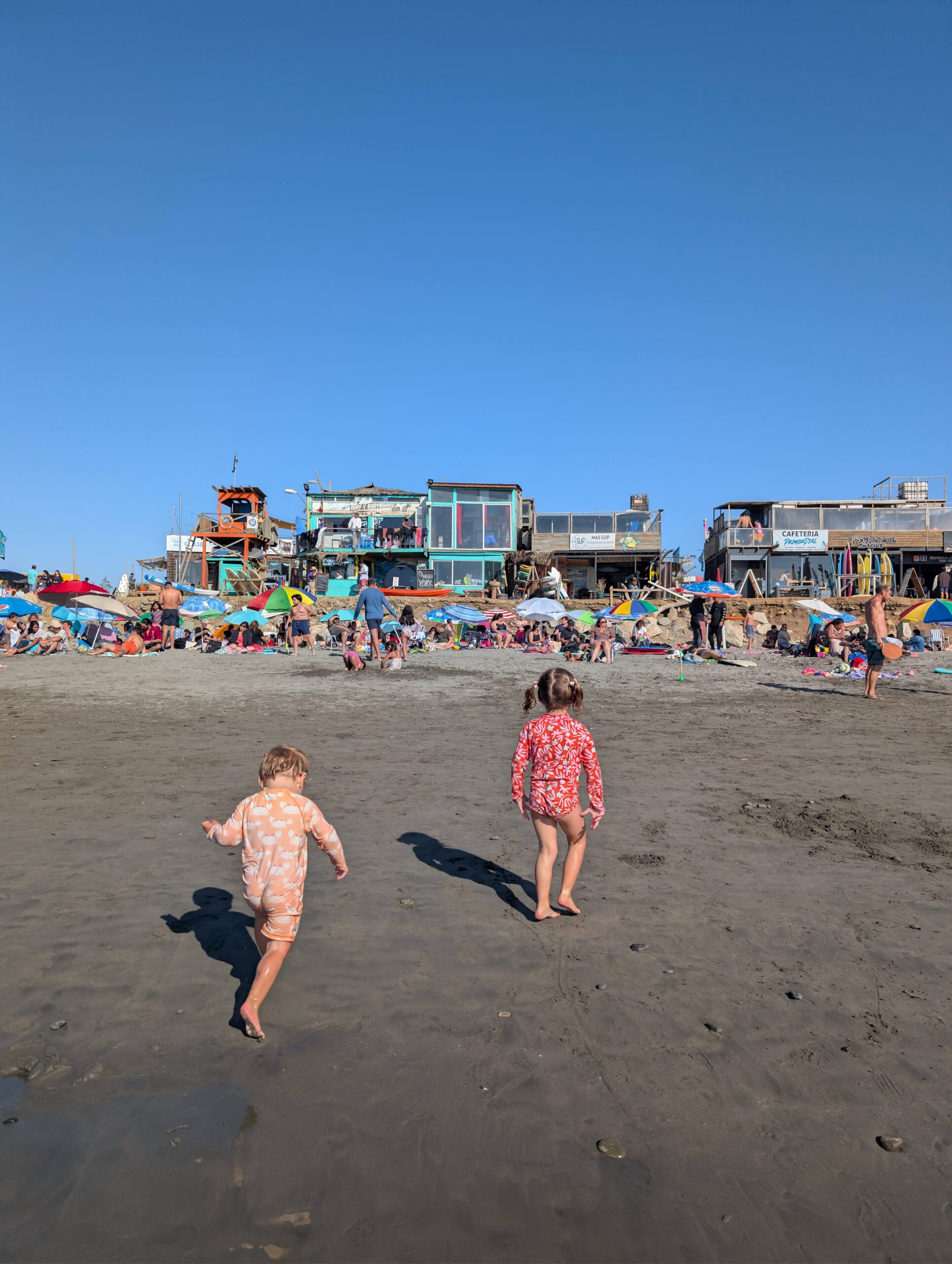 PXL_20260221_205024888.RAW-01.COVER